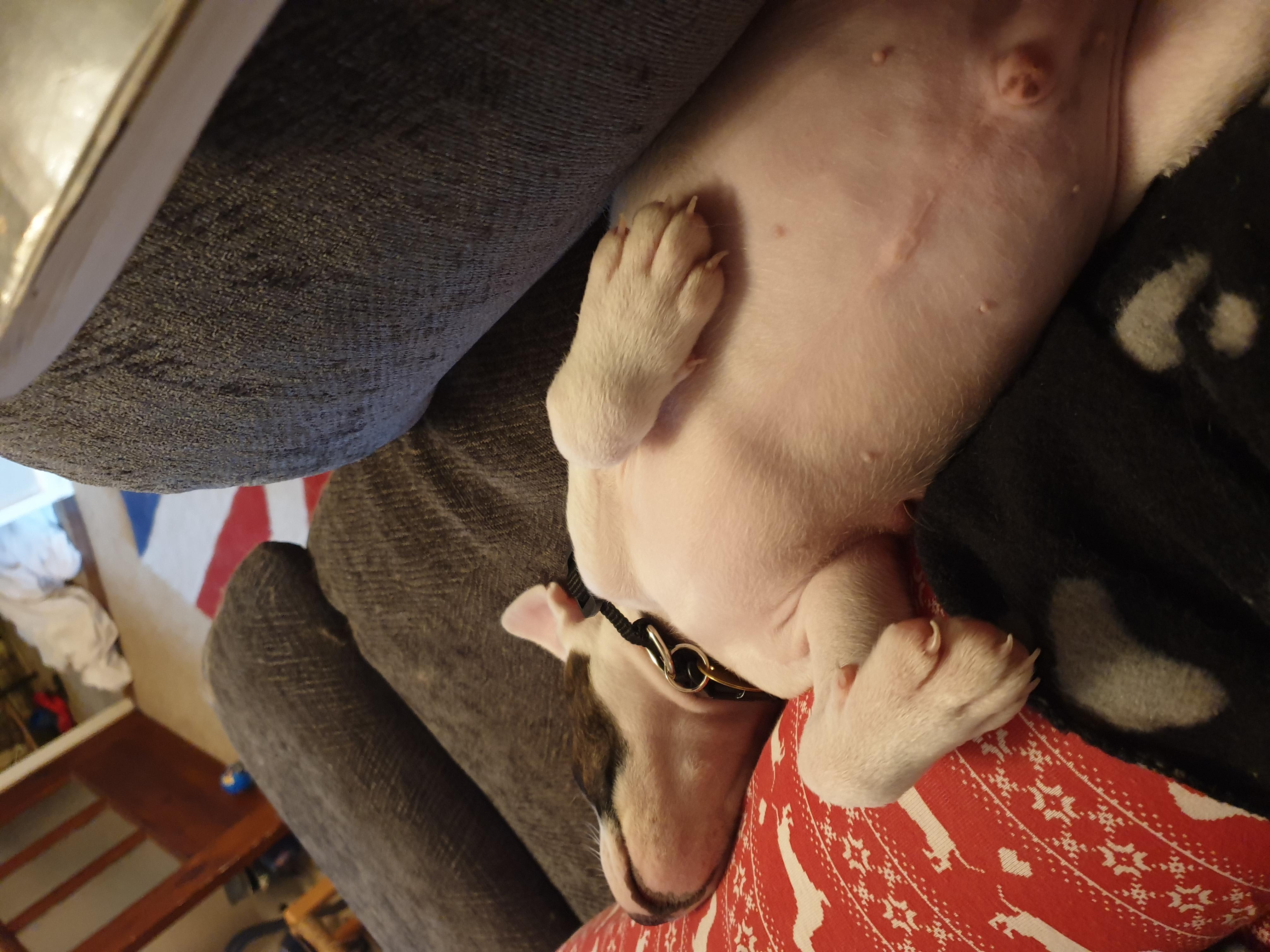 Question details sensitive content