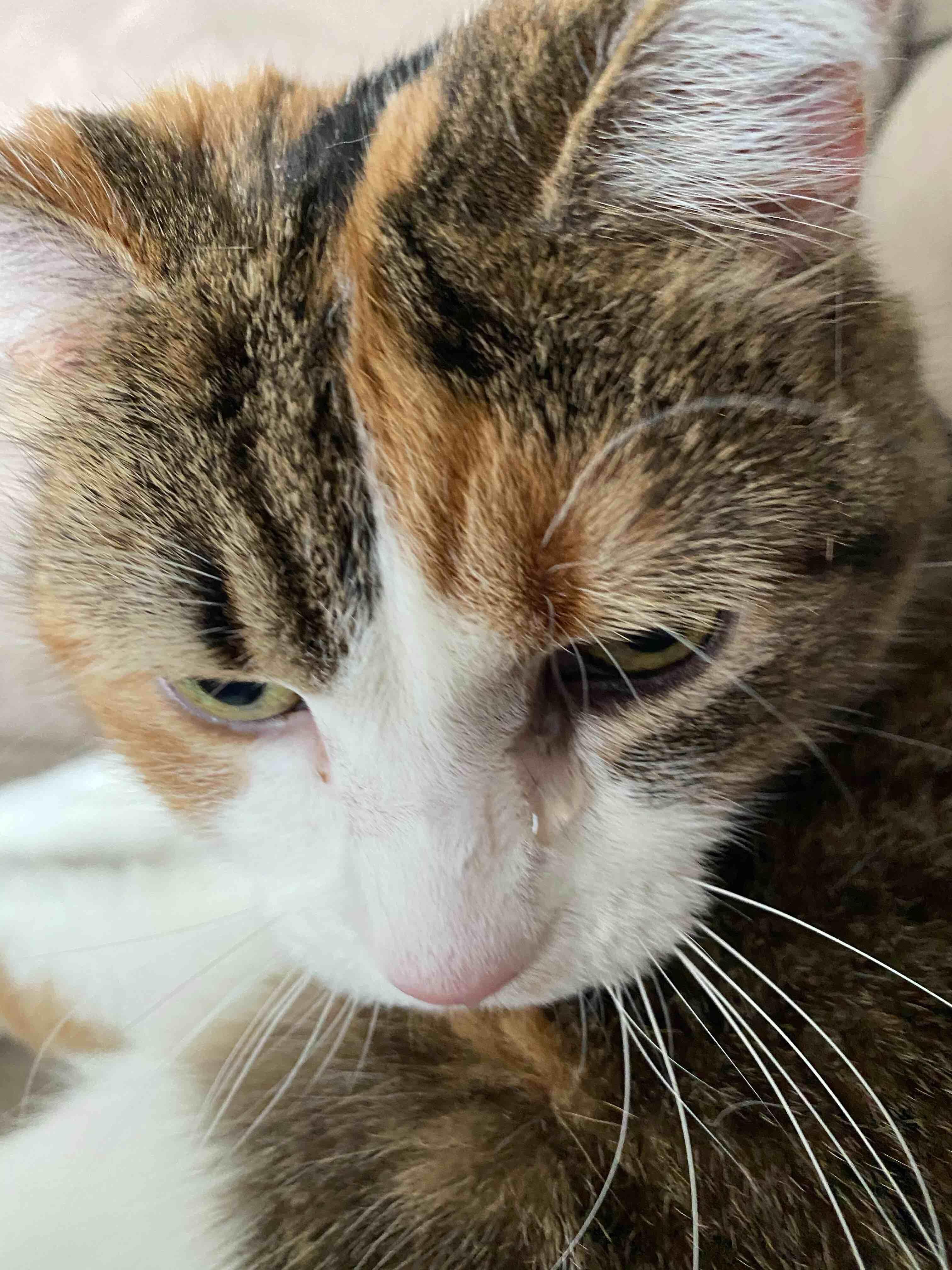 Question details sensitive content