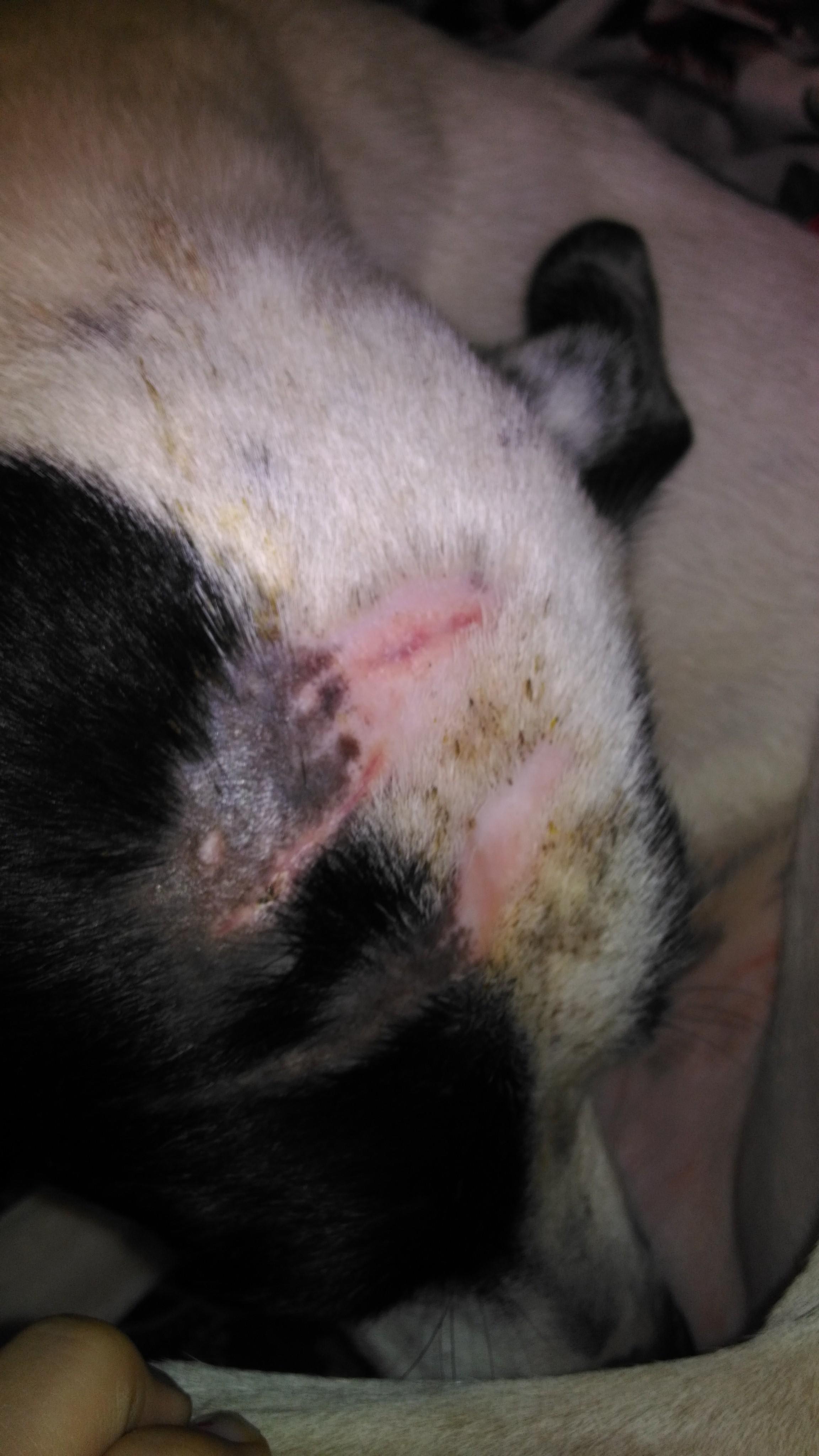 Question details sensitive content