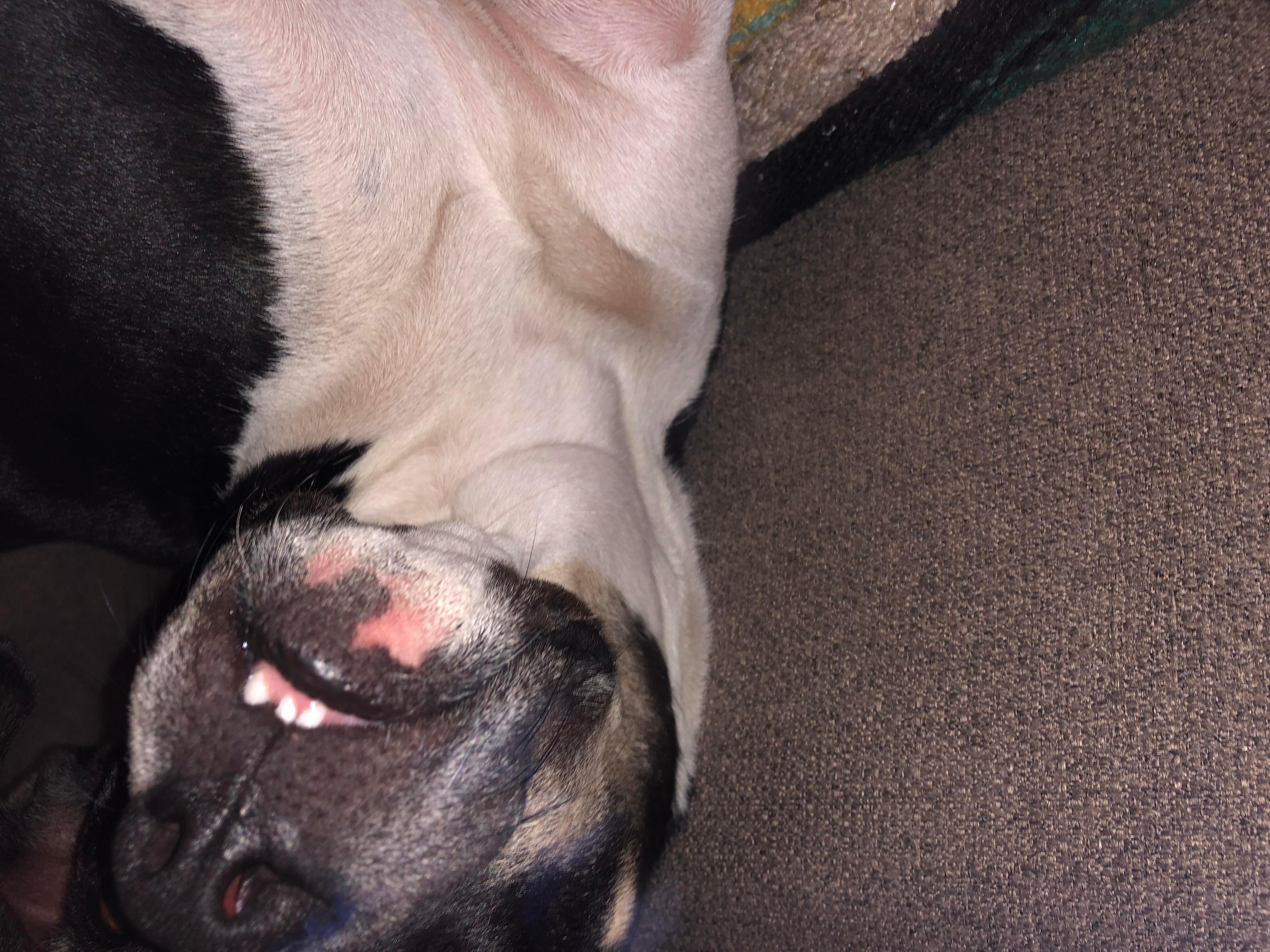 Question details sensitive content