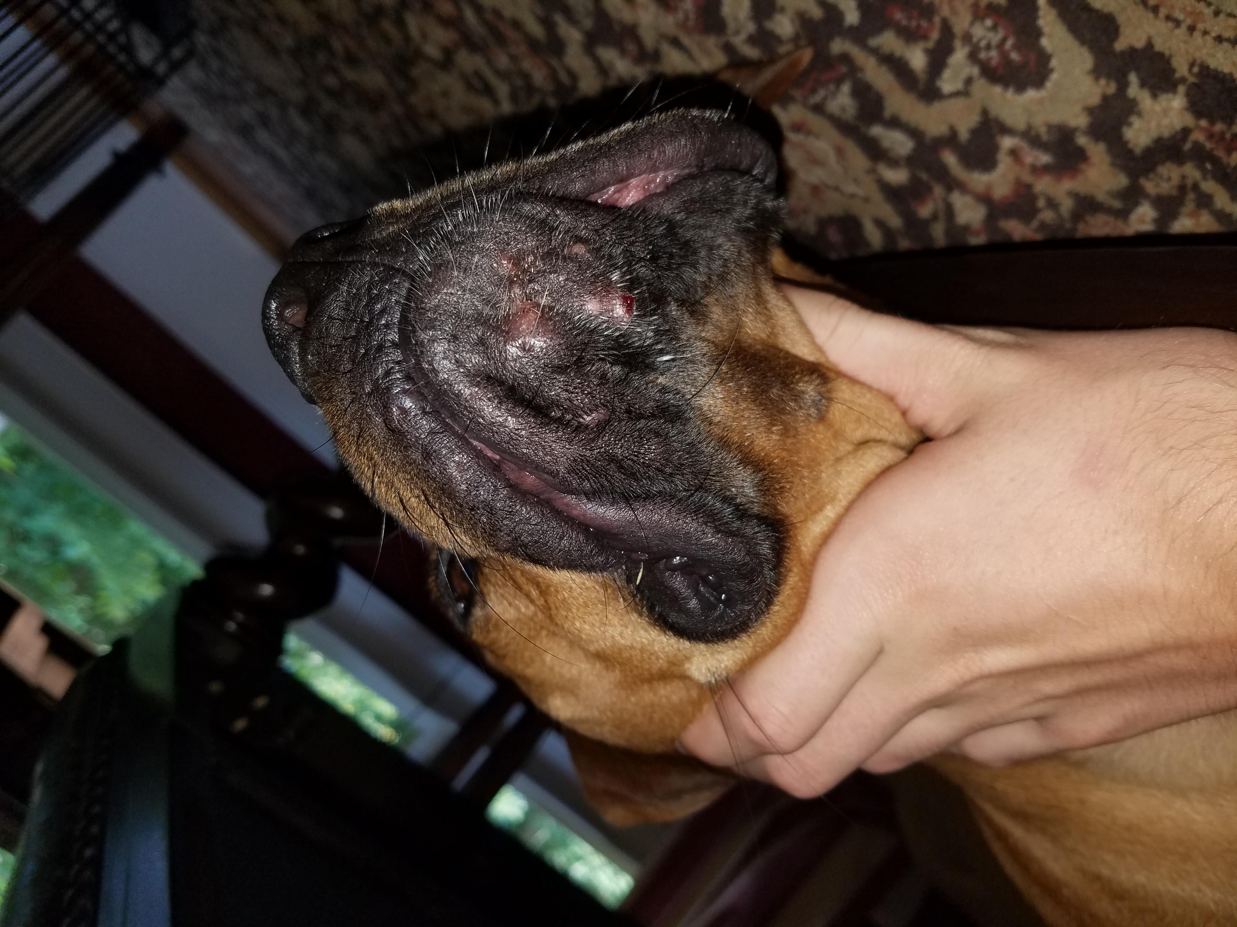 Question details sensitive content