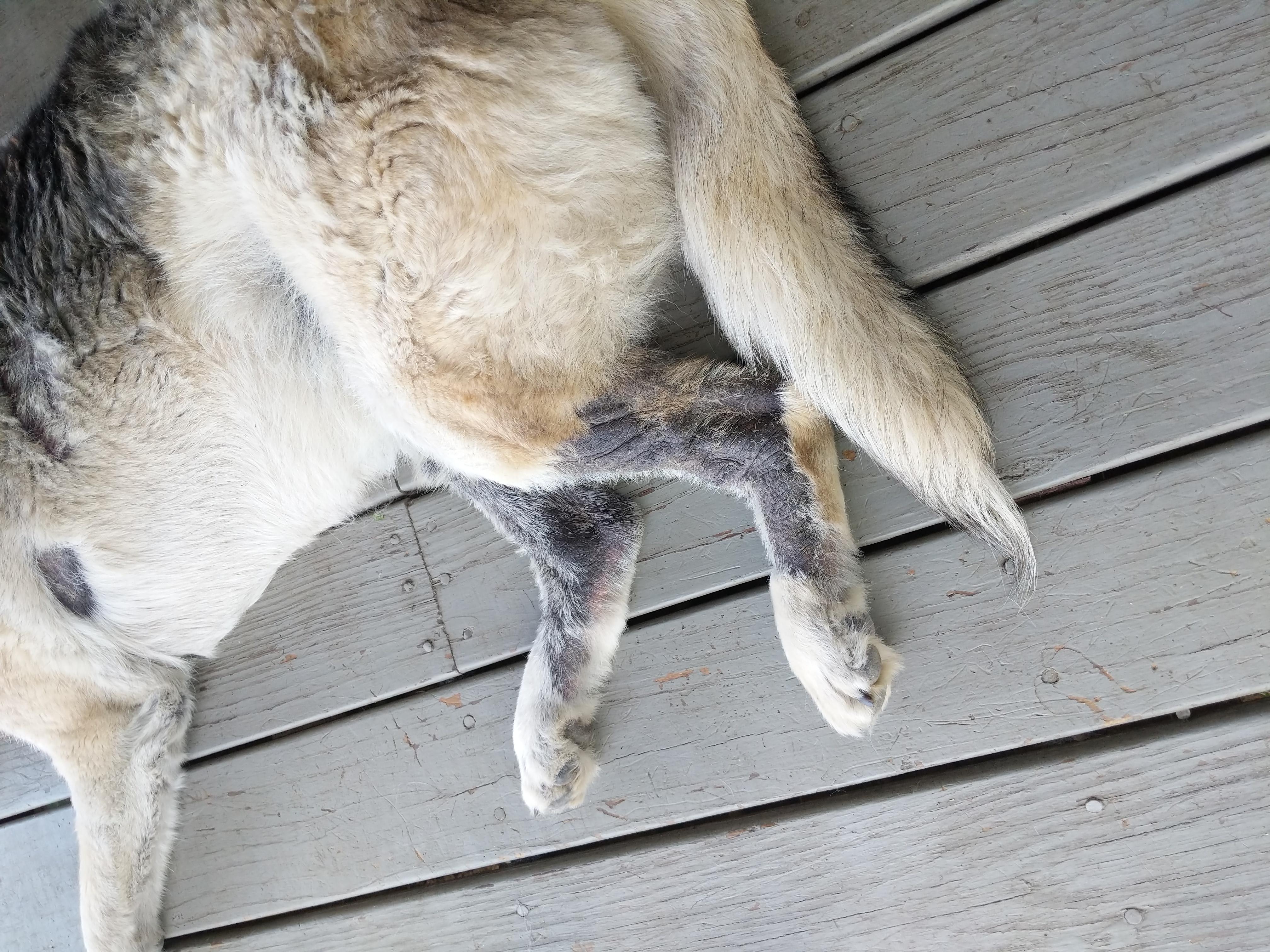 Question details sensitive content