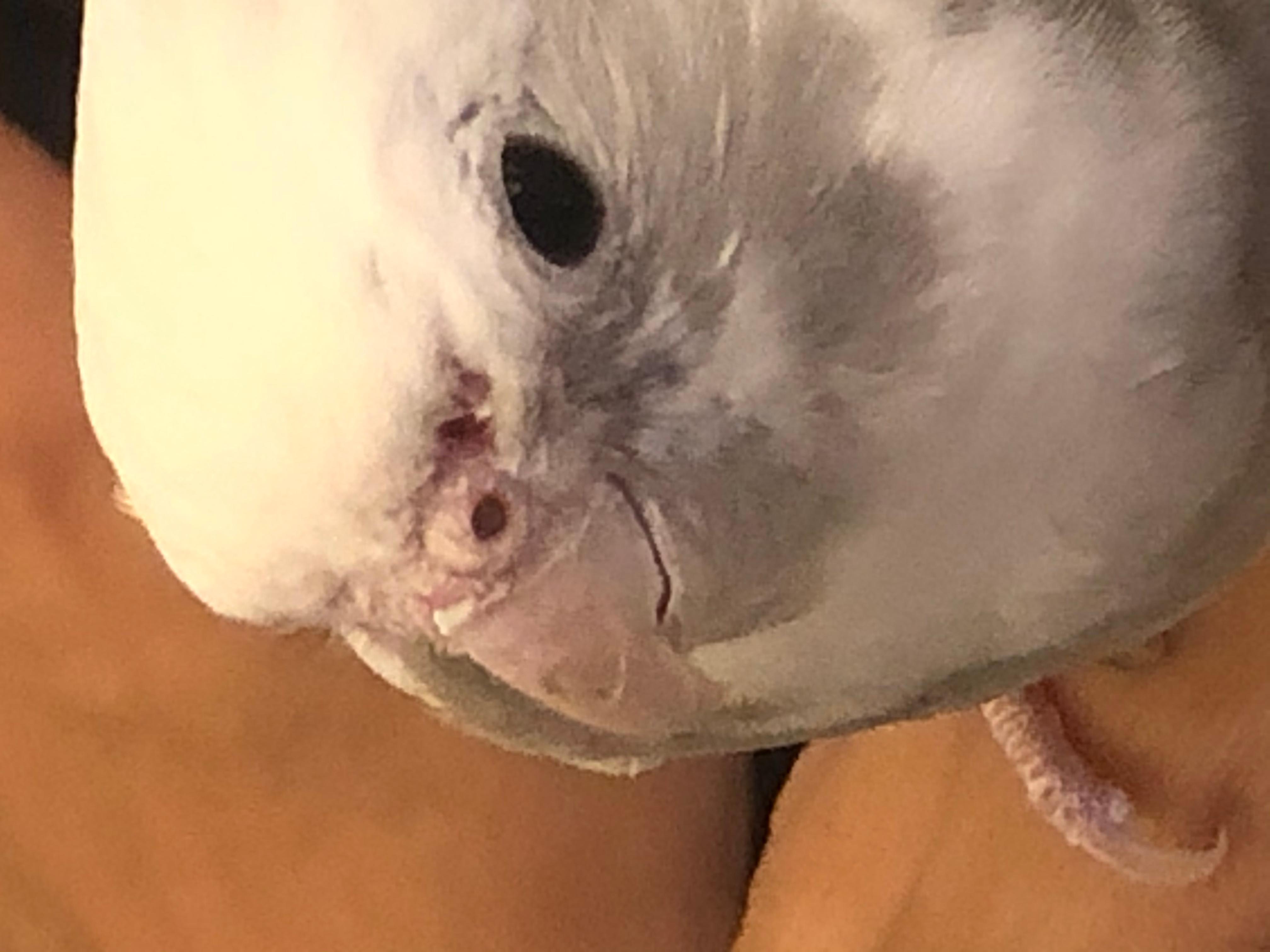 Question details sensitive content