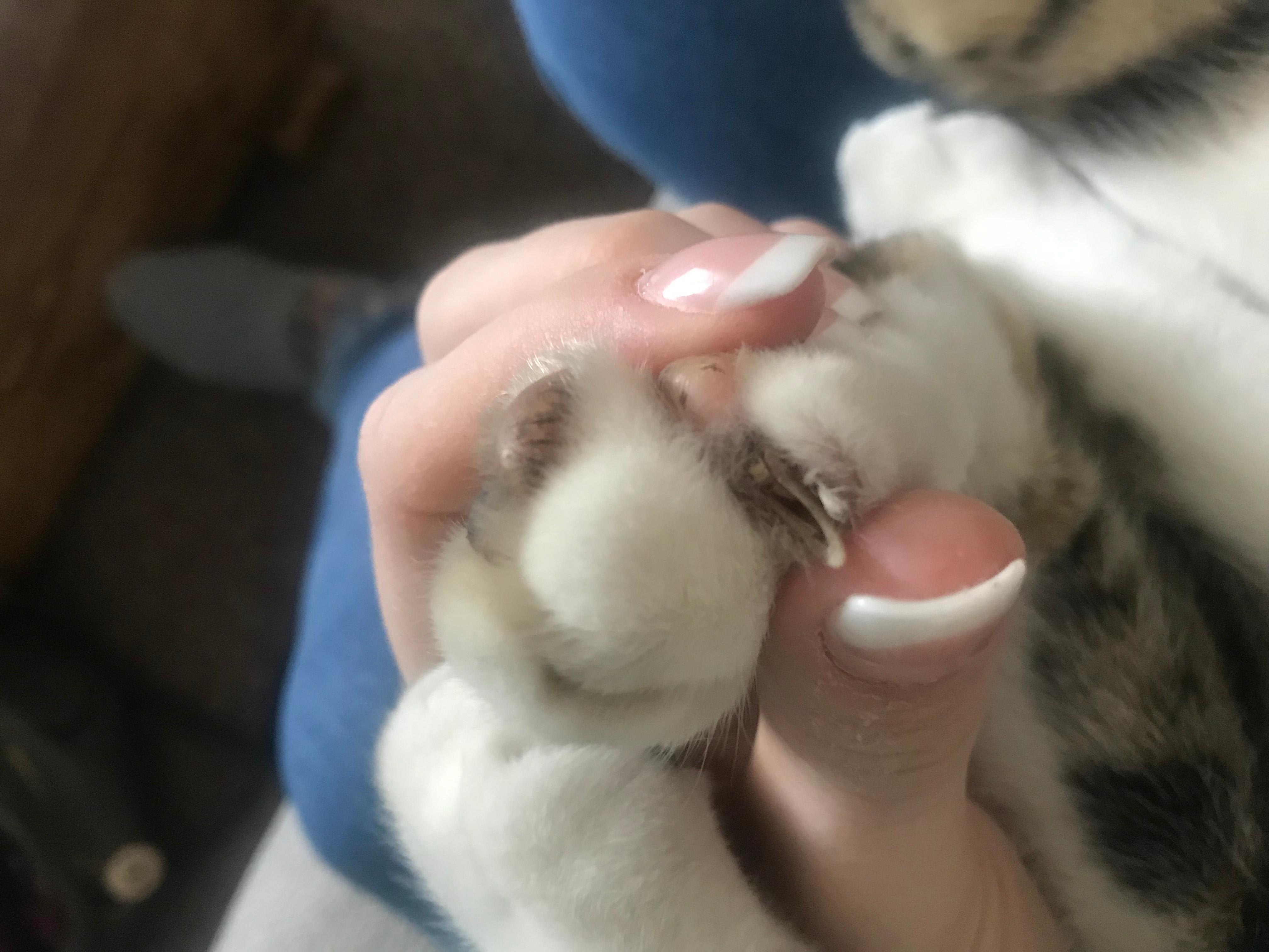 Question details sensitive content