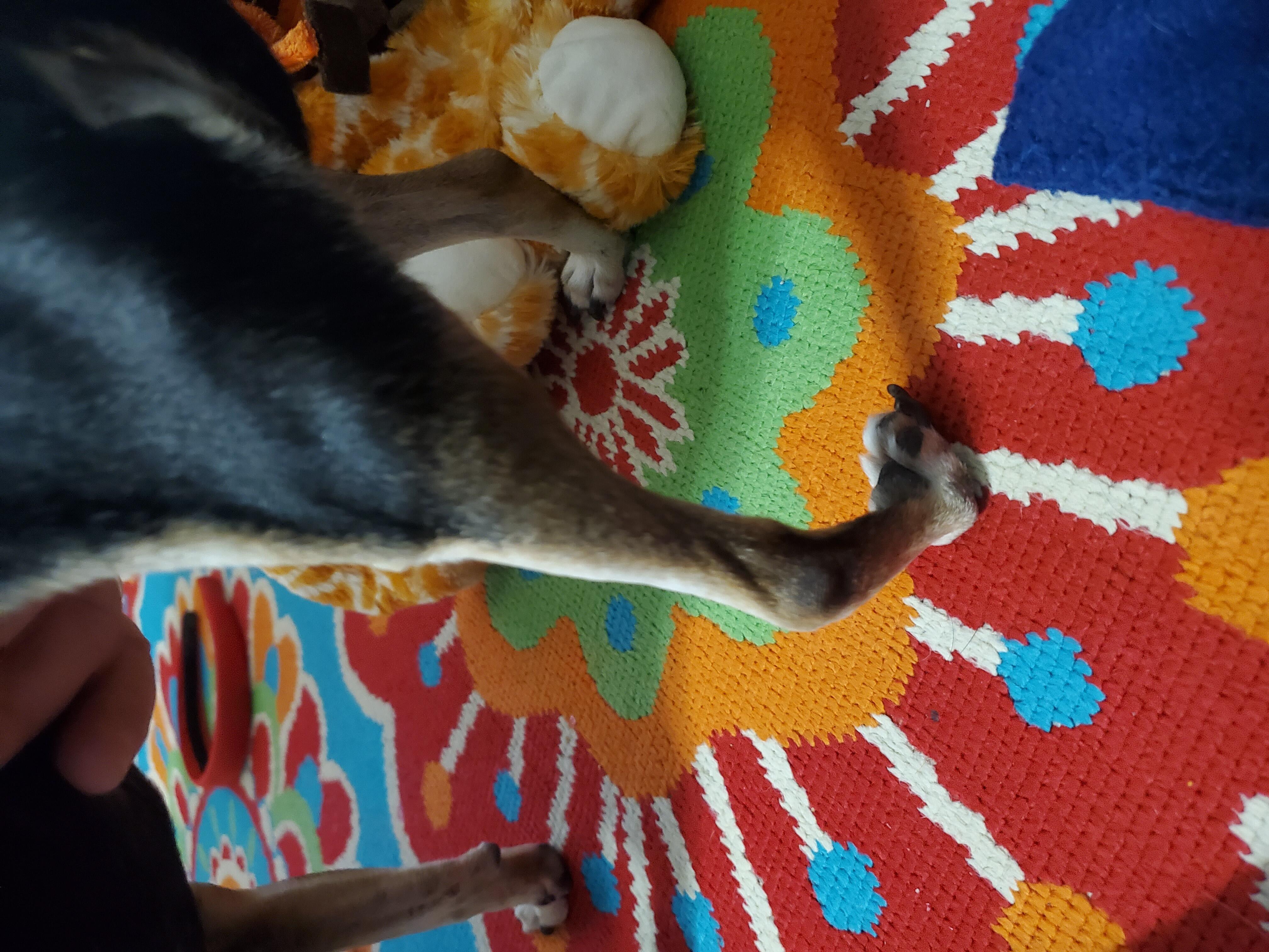 Question details sensitive content