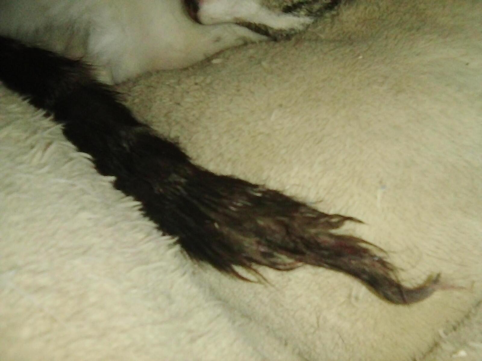 Question details sensitive content