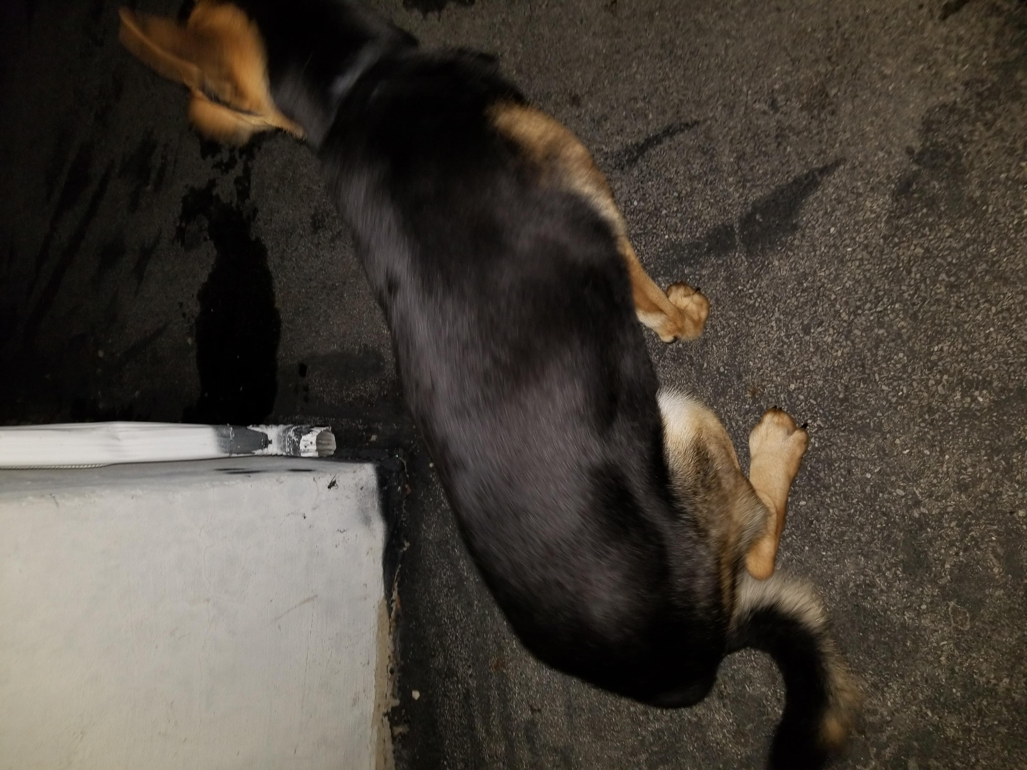 Question details sensitive content