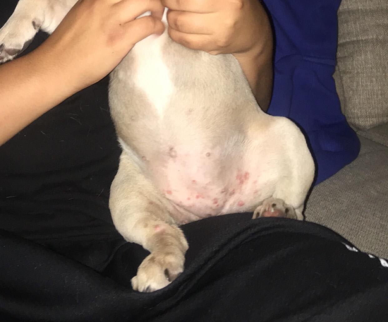 Question details sensitive content