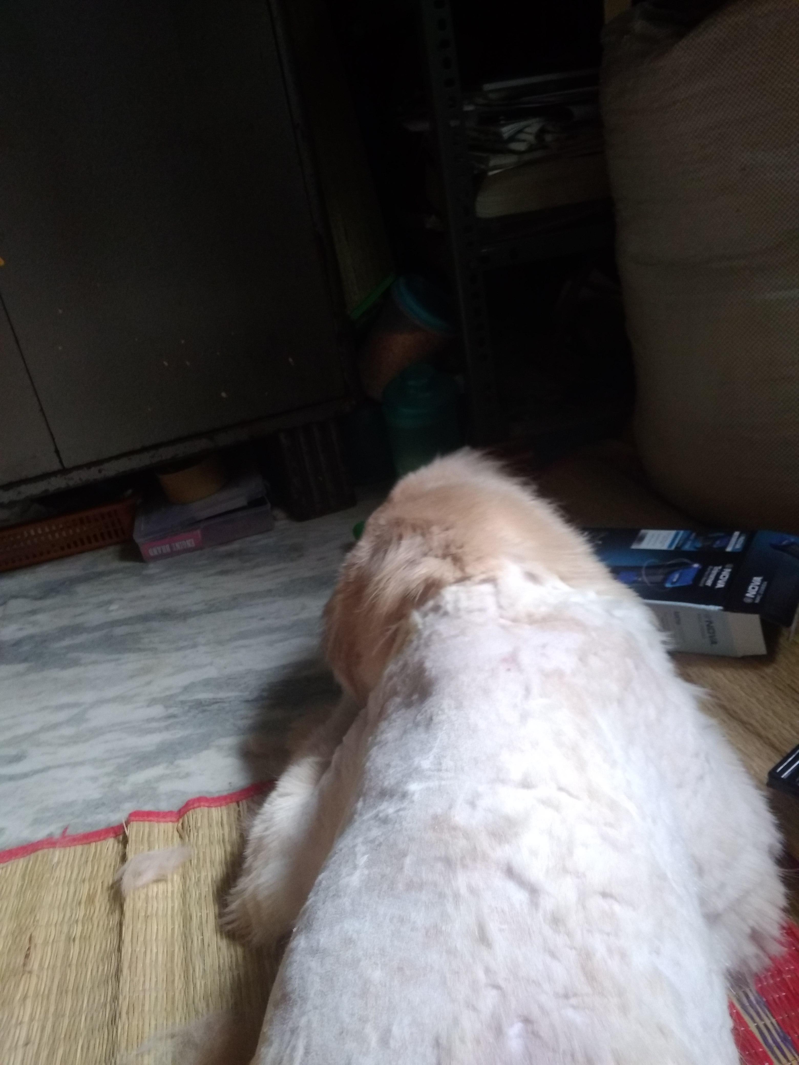 Question details sensitive content