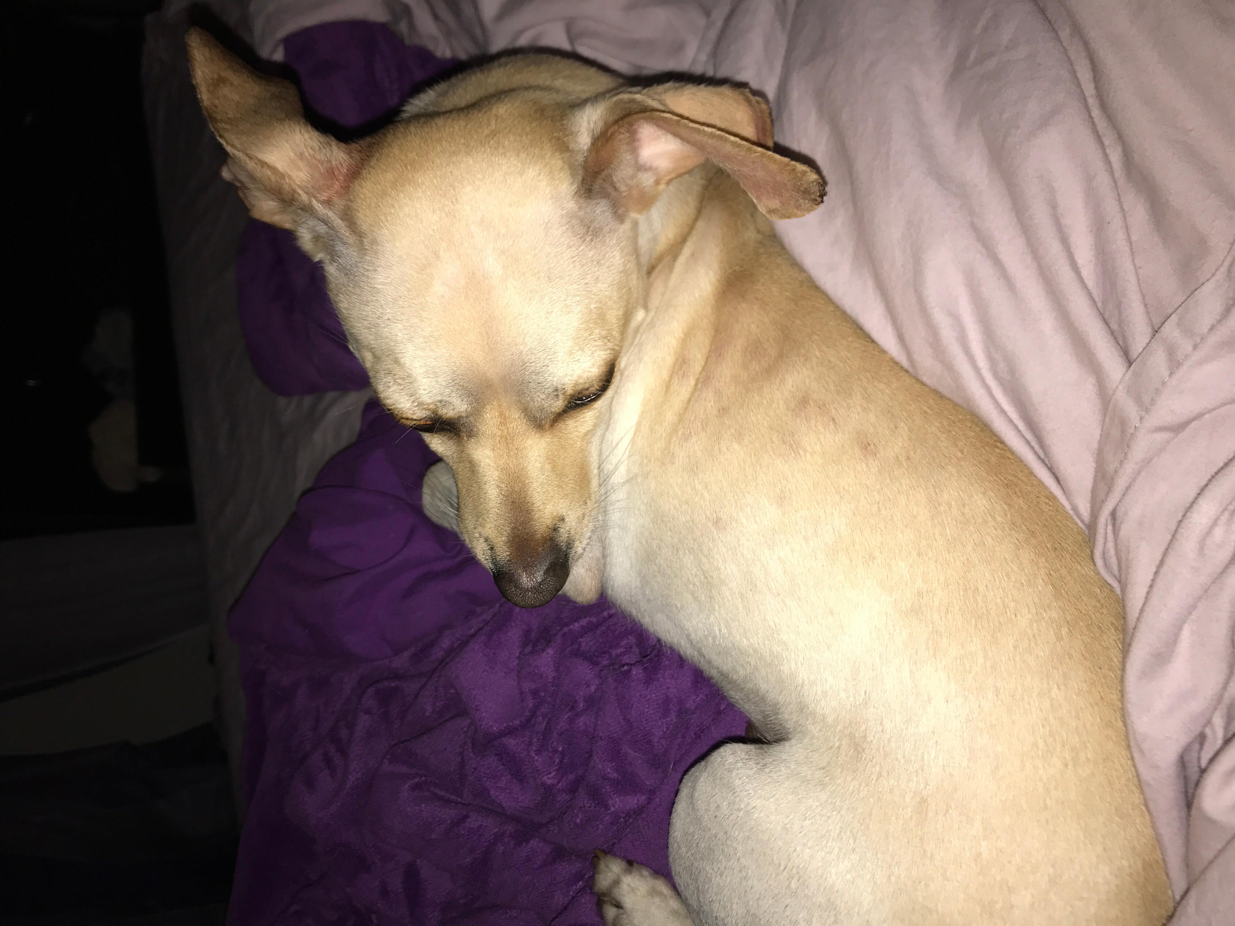 Question details sensitive content