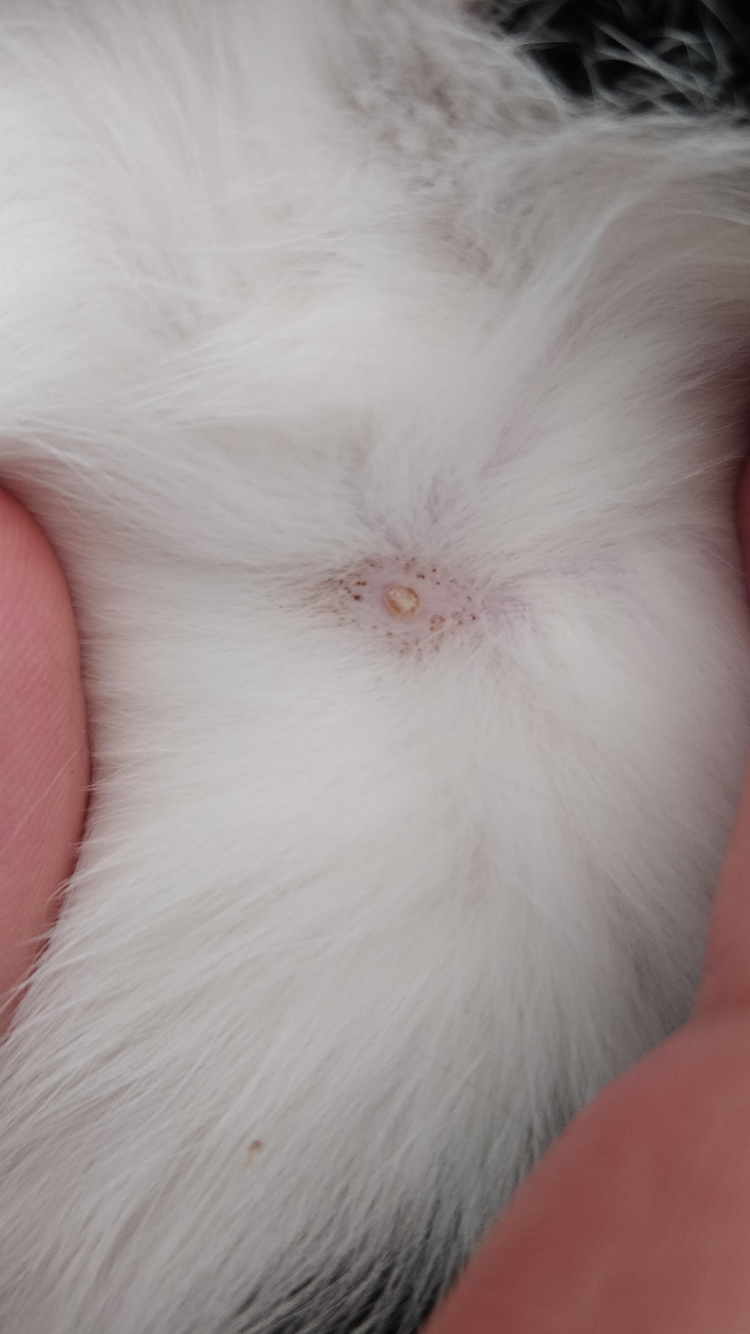 Question details sensitive content