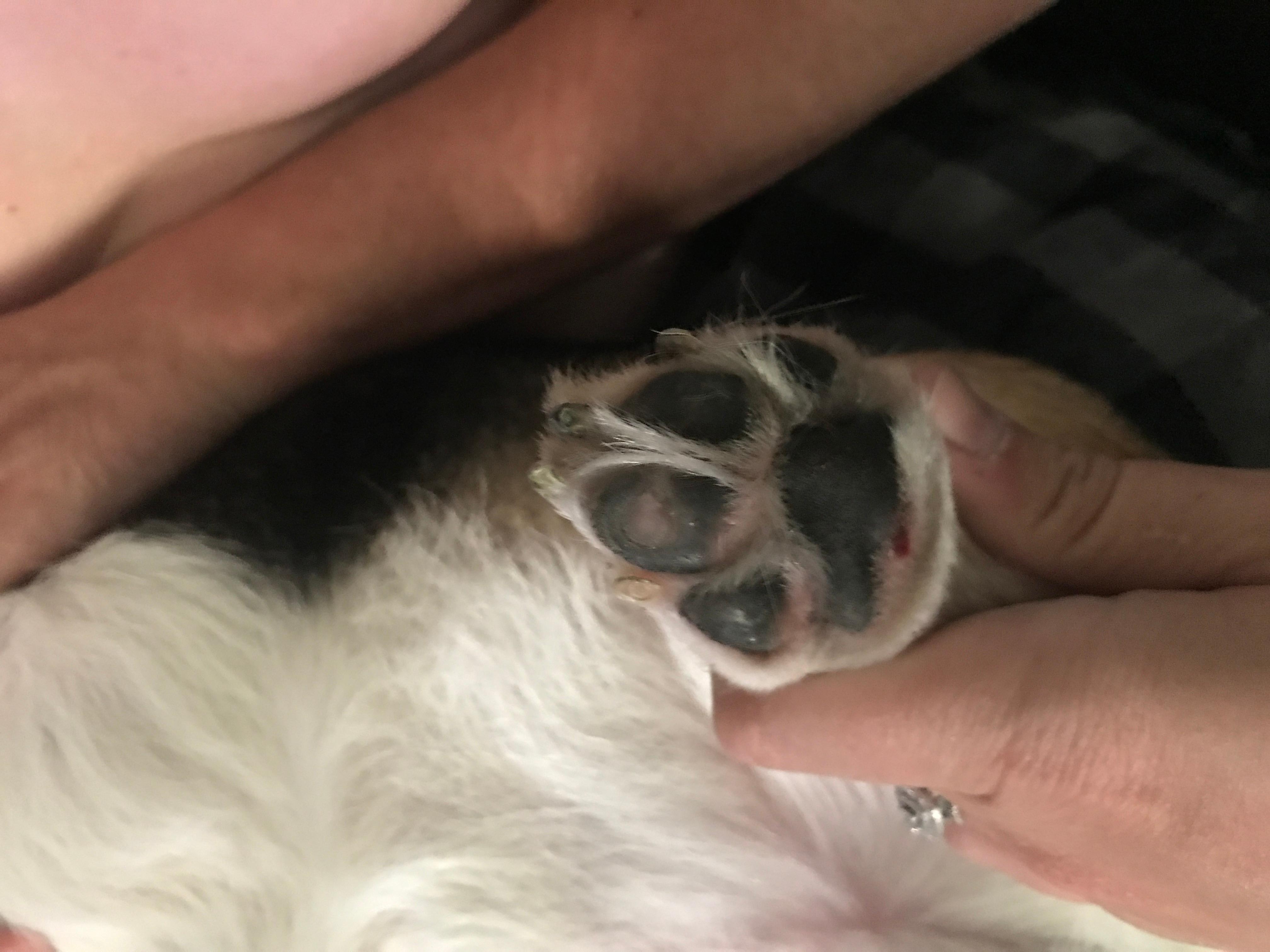 Question details sensitive content