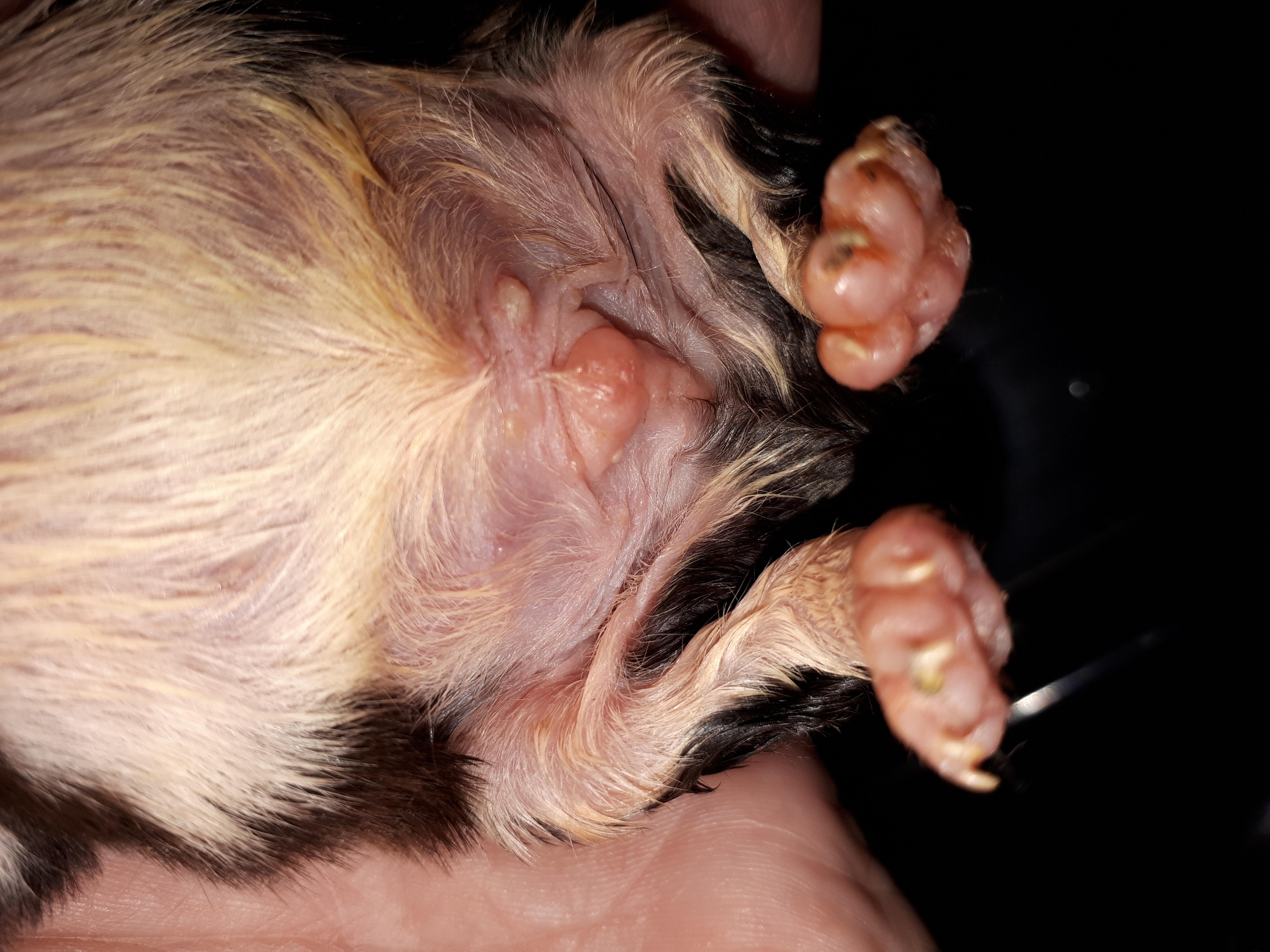 Question details sensitive content