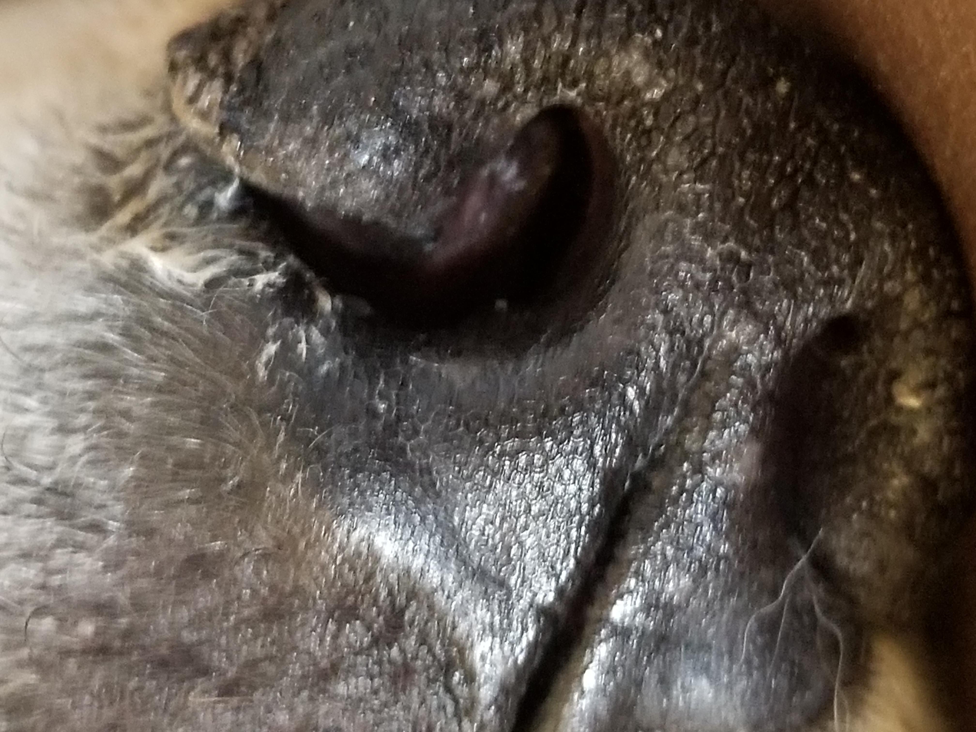 Question details sensitive content