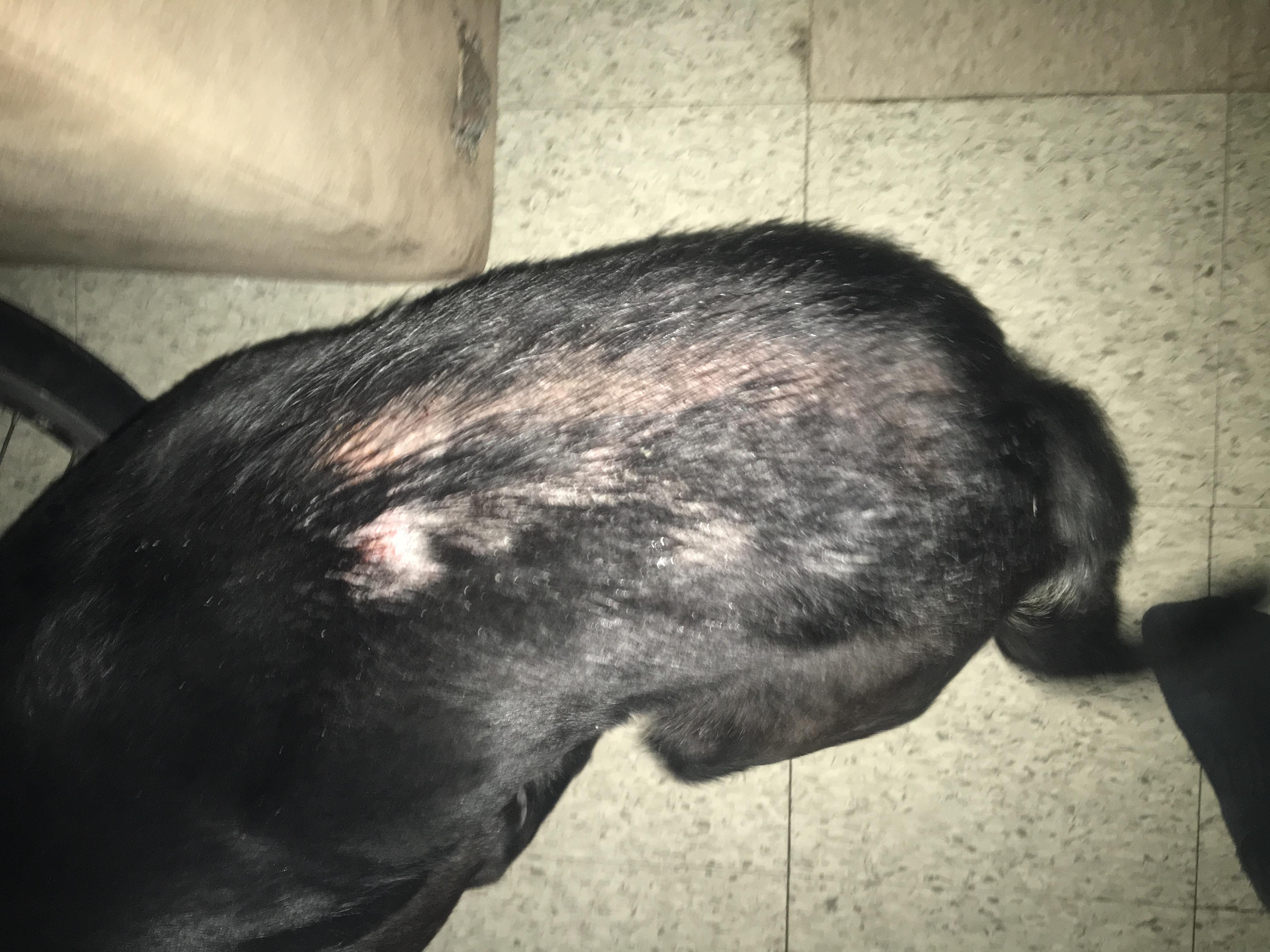 Question details sensitive content