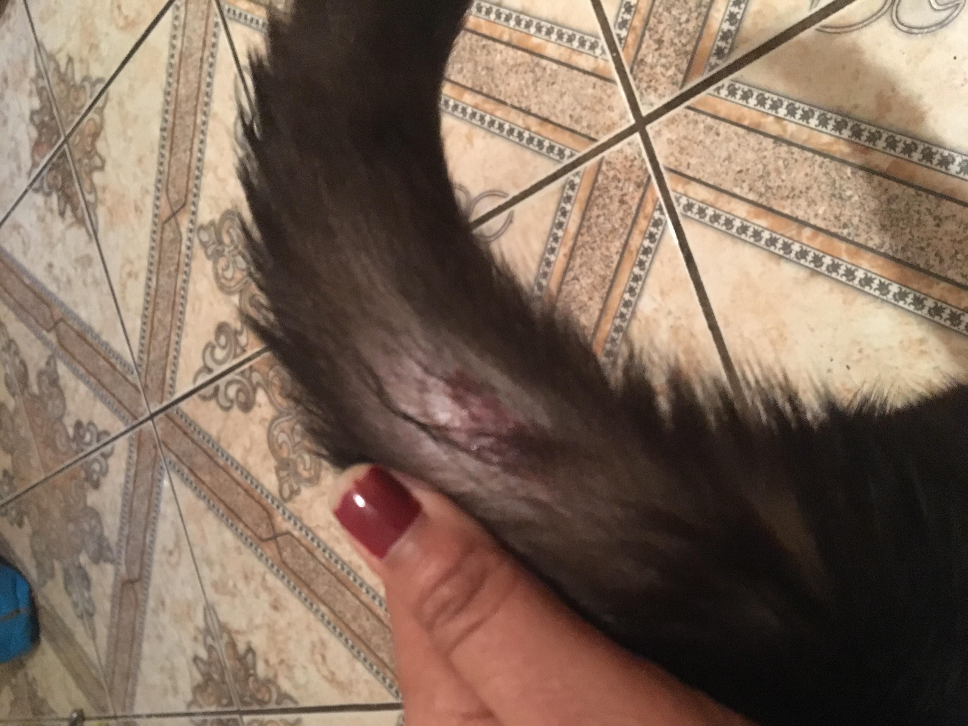 Question details sensitive content