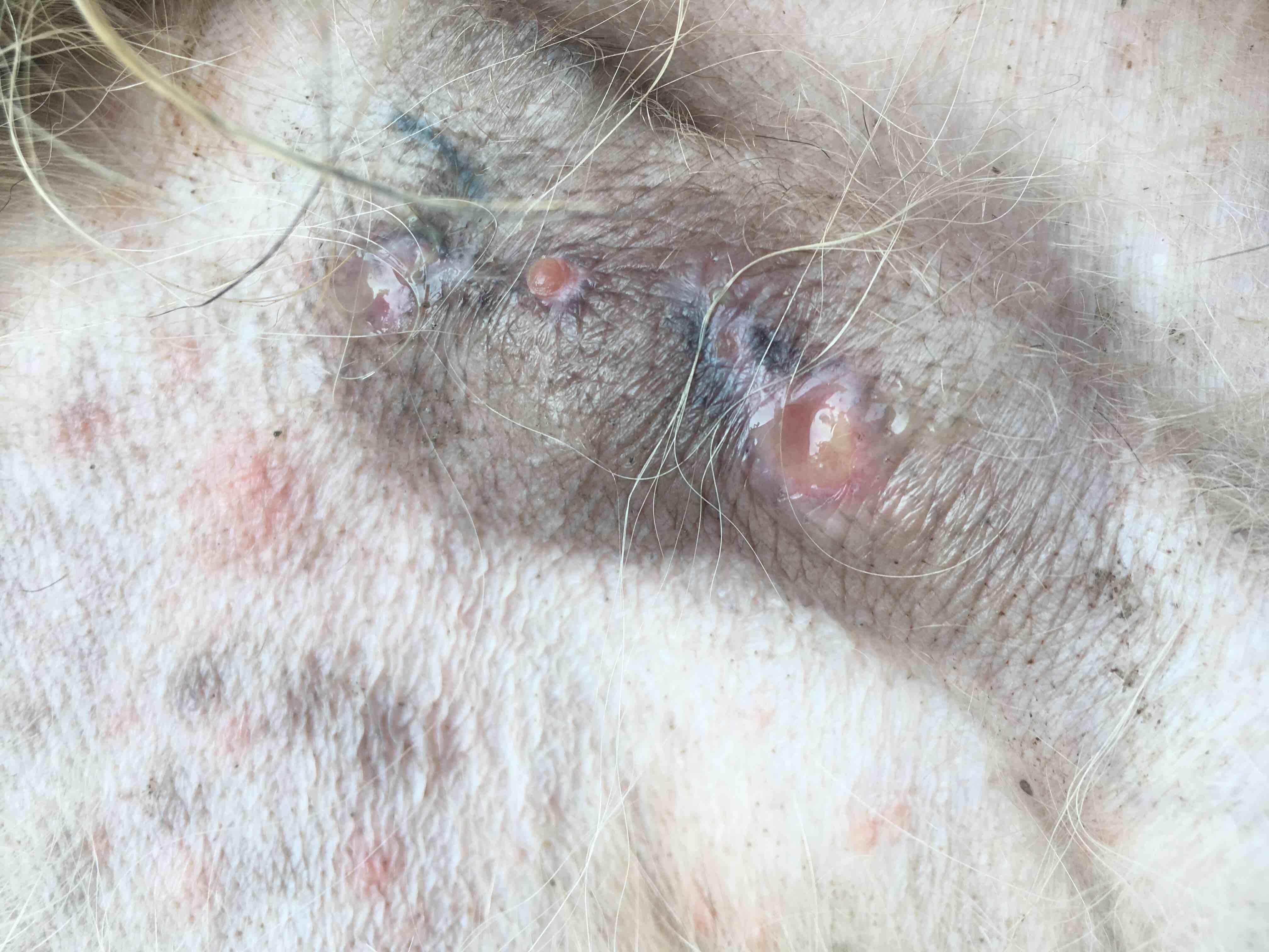 Question details sensitive content