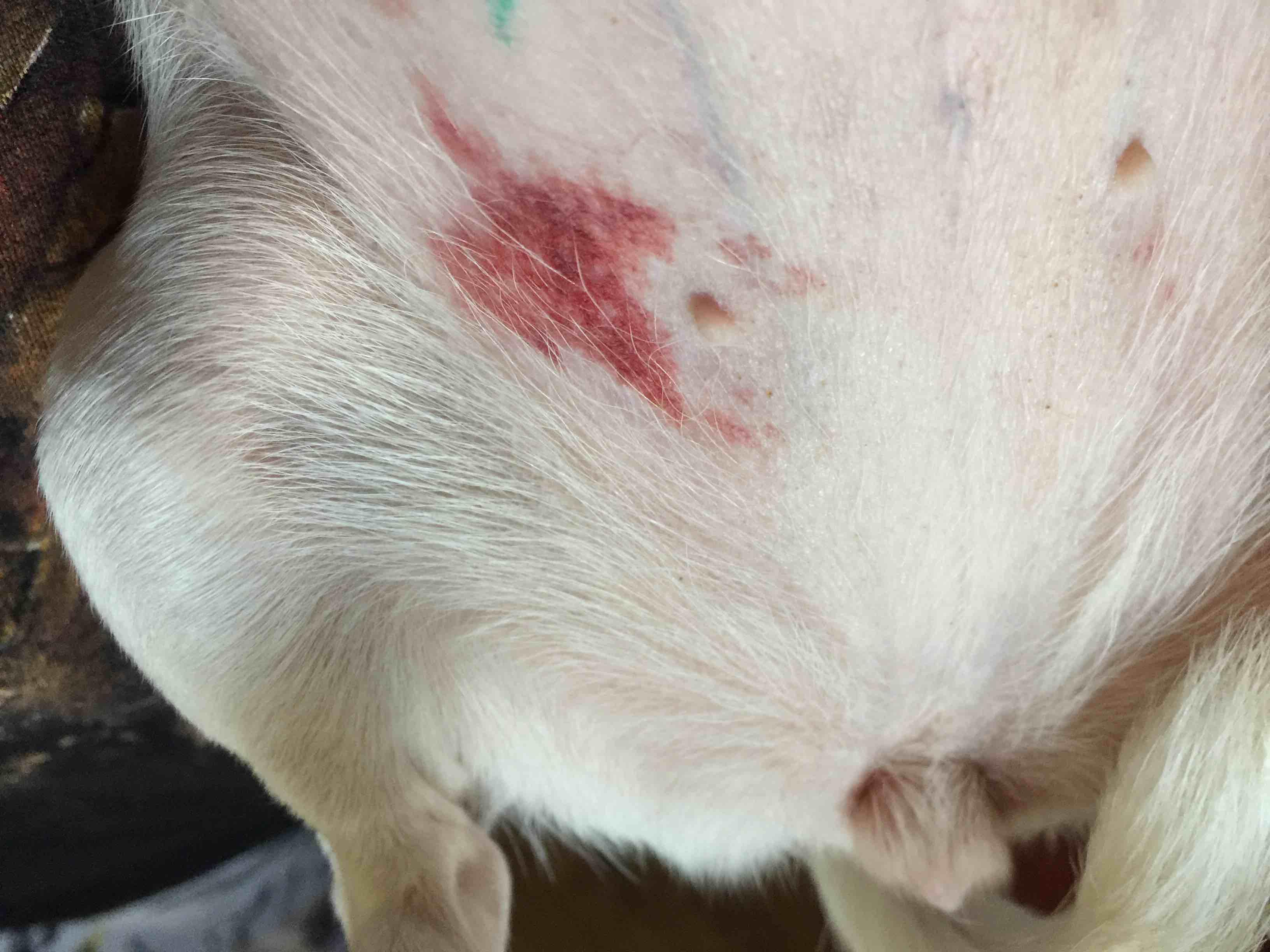 Question details sensitive content