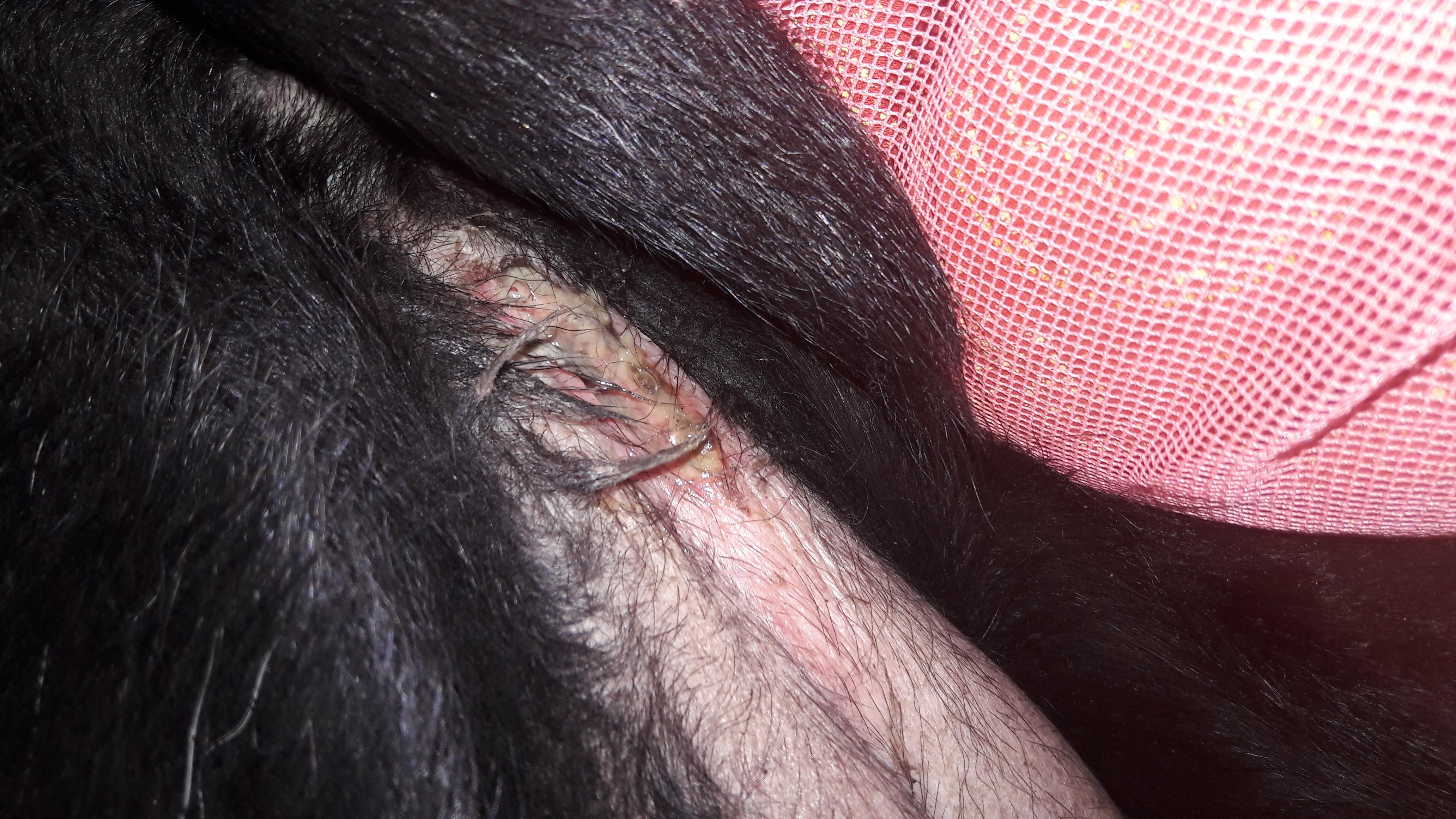 Question details sensitive content