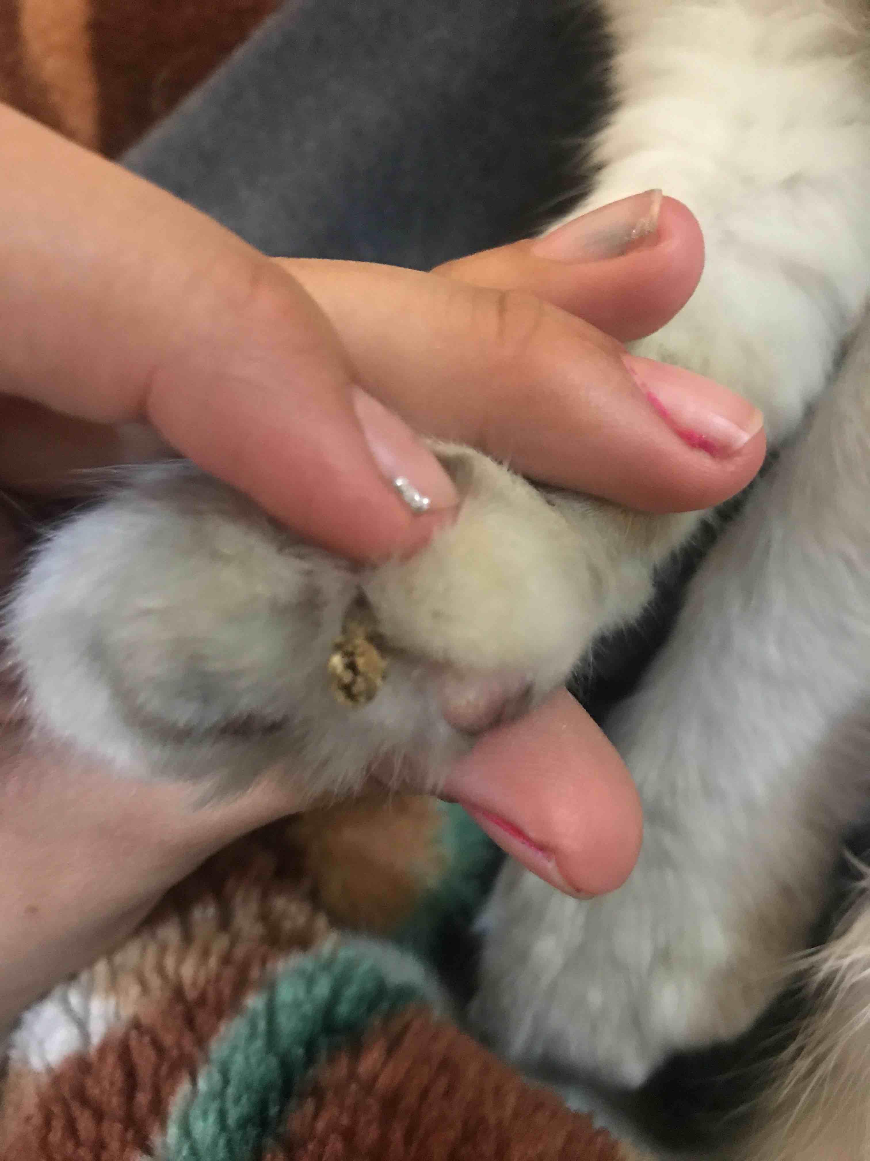 Question details sensitive content