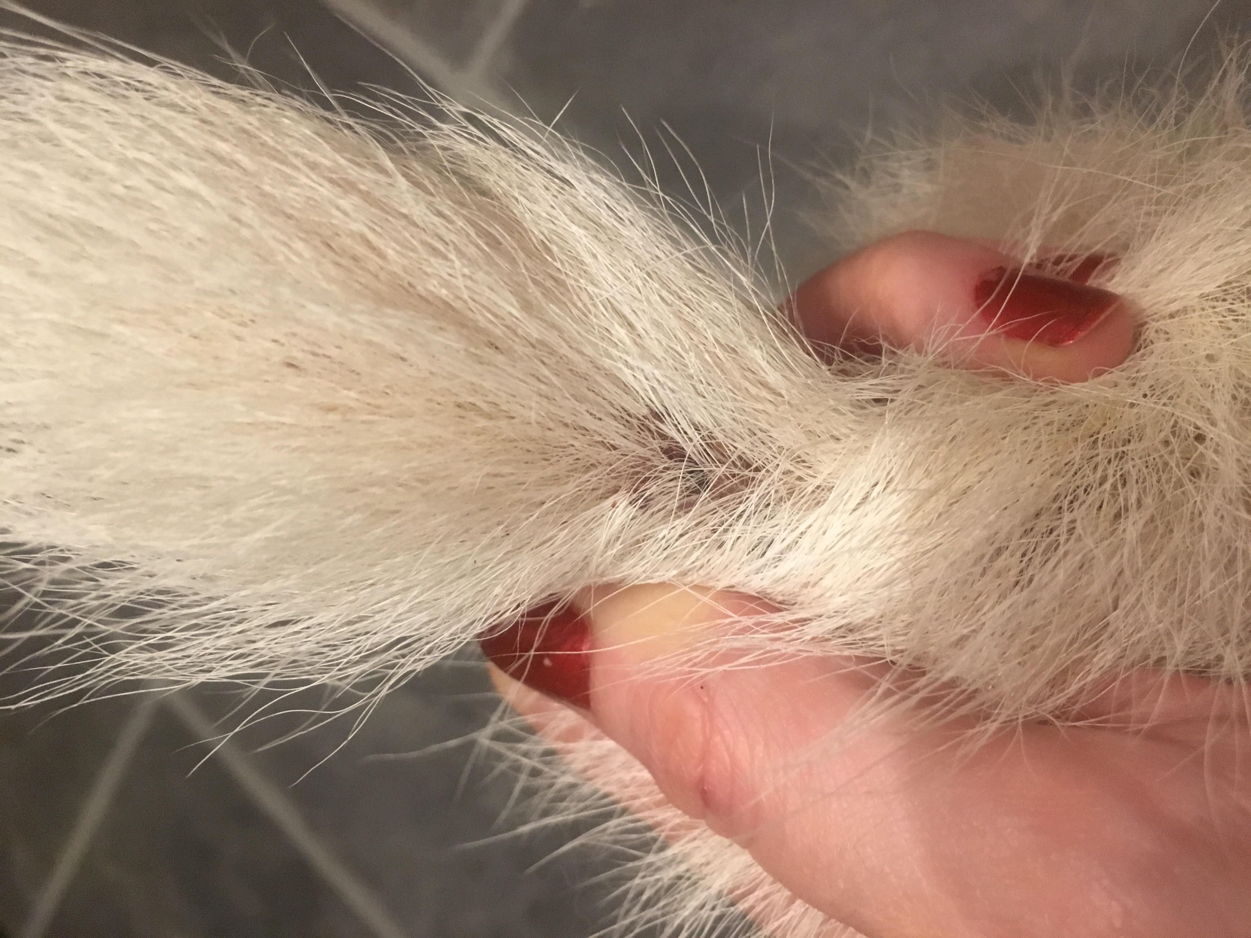 Question details sensitive content