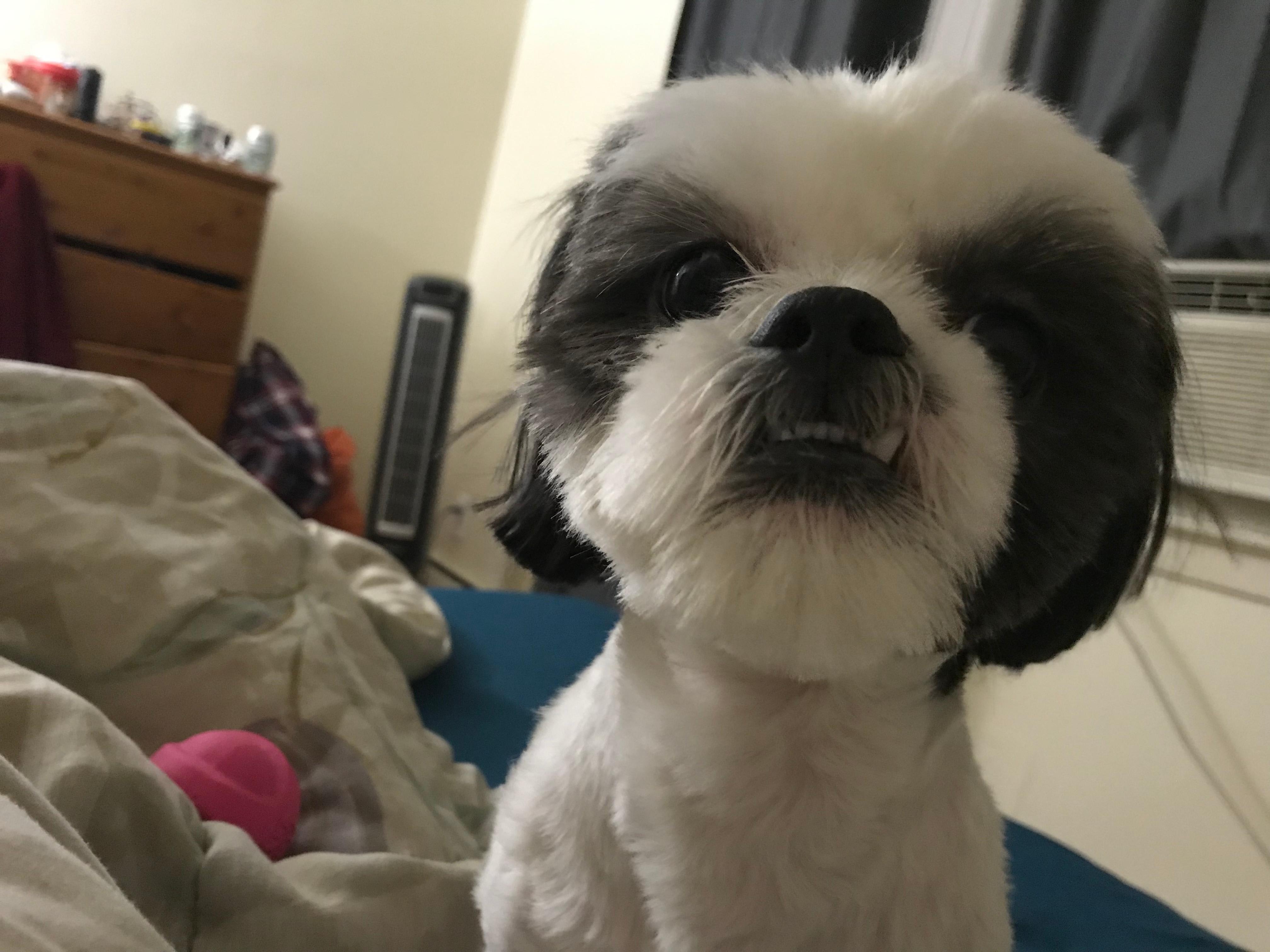 Question details sensitive content