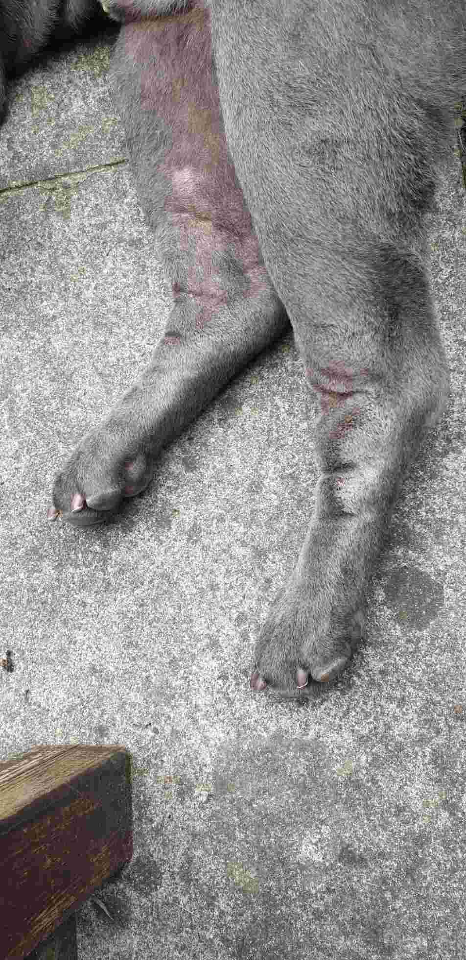 Question details sensitive content