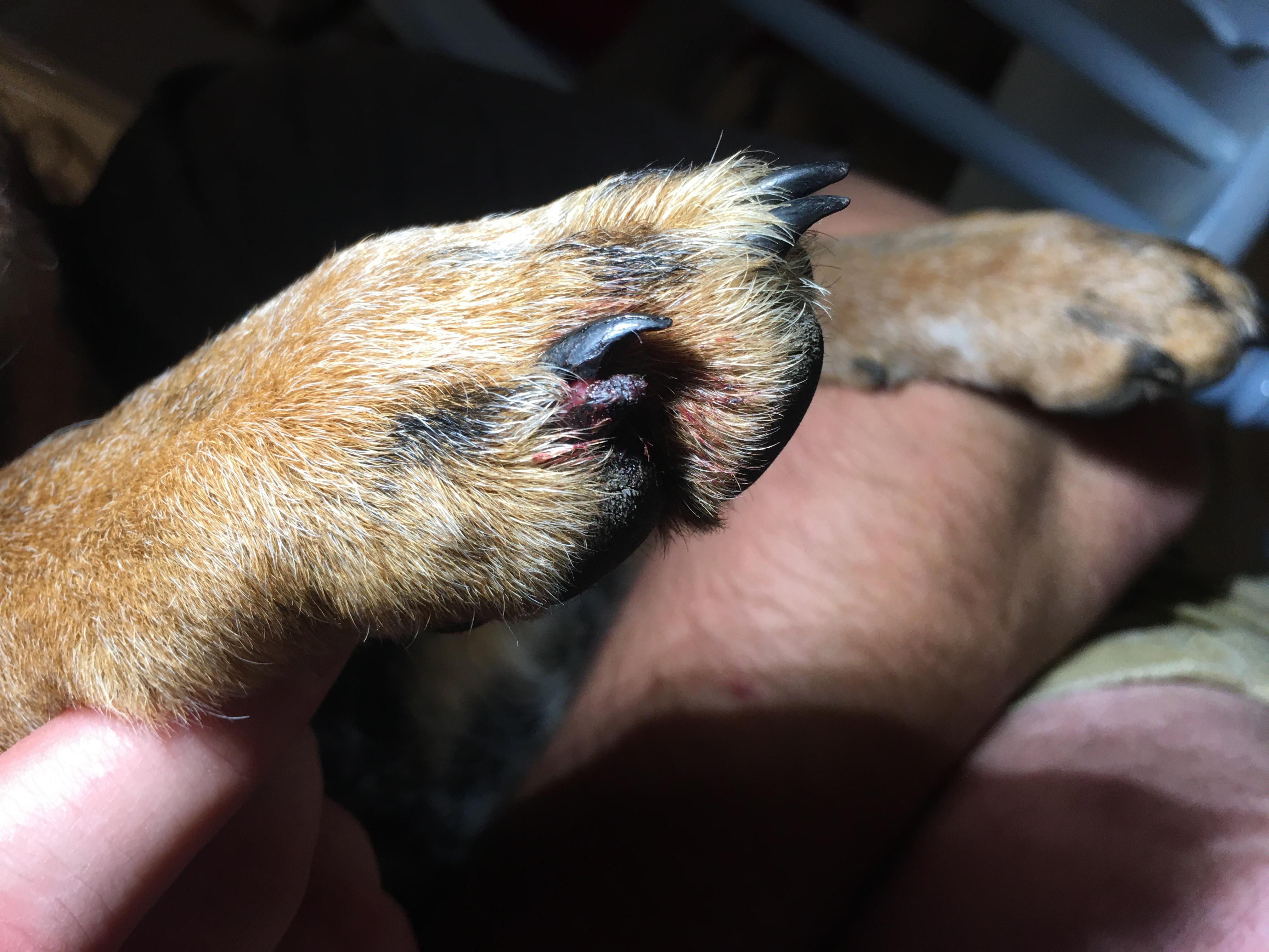 Question details sensitive content