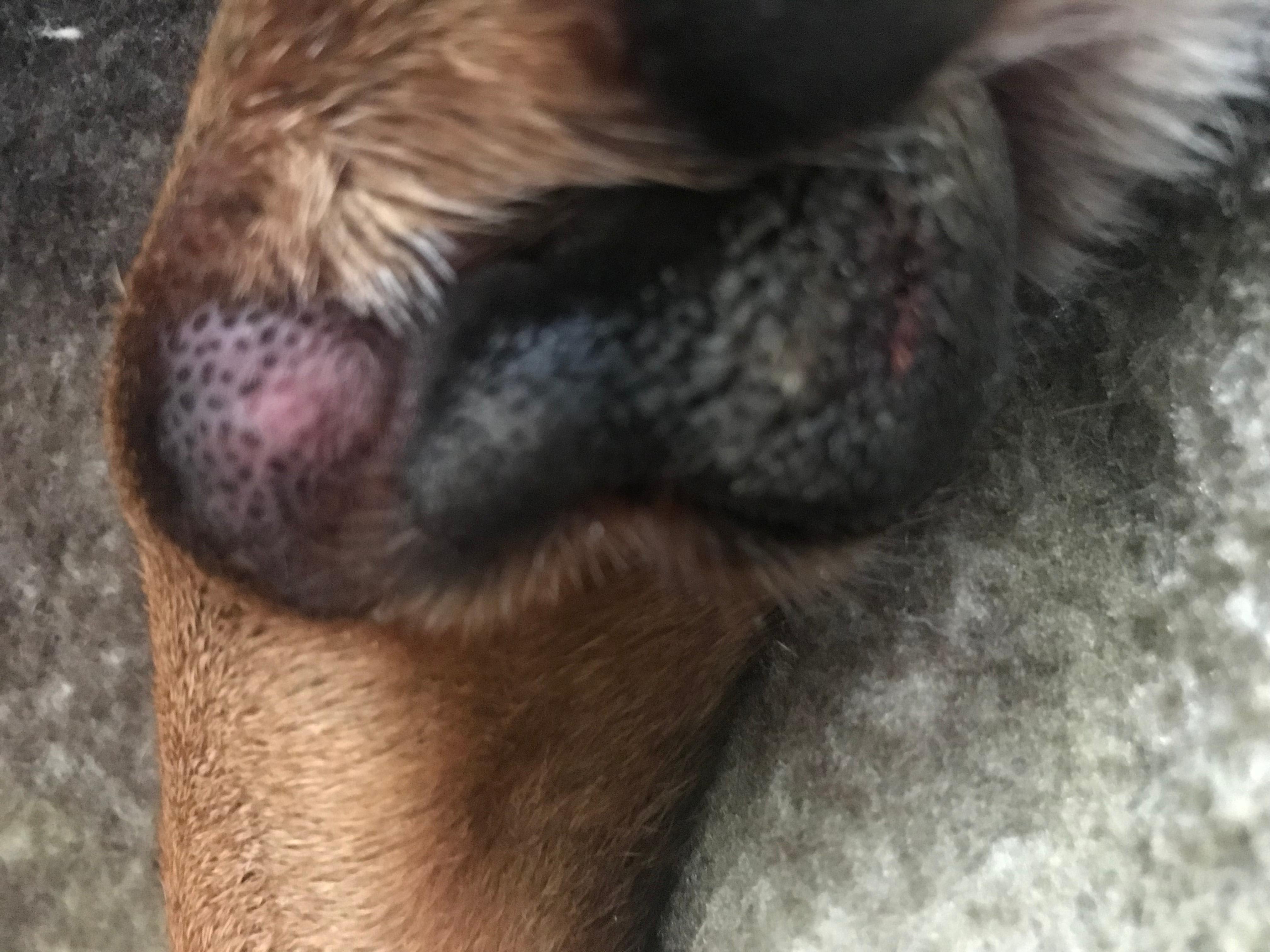 Question details sensitive content