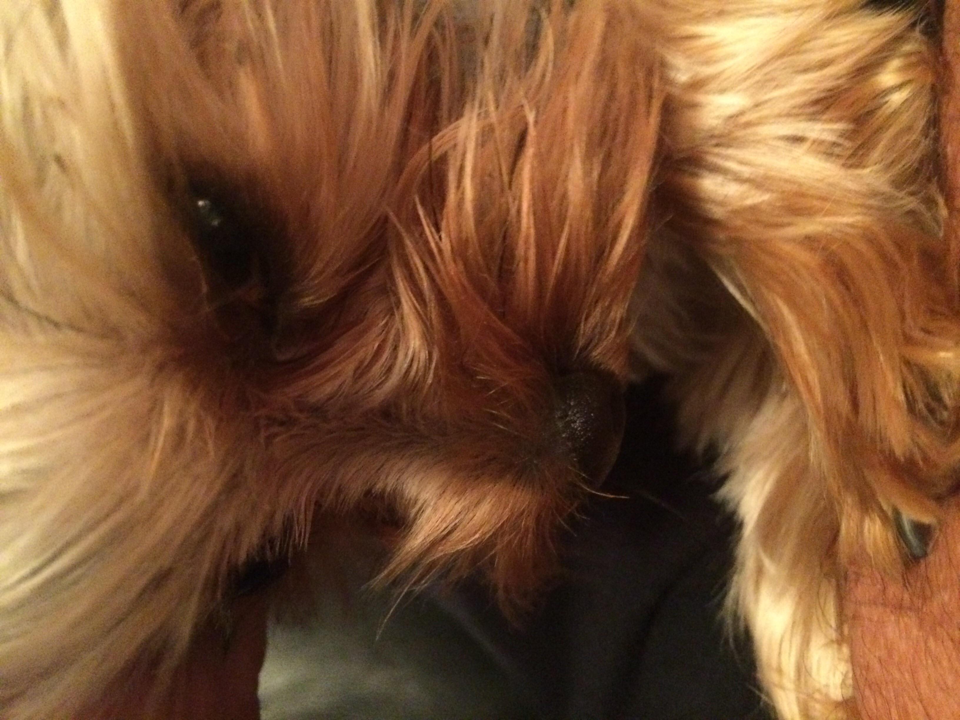 Question details sensitive content