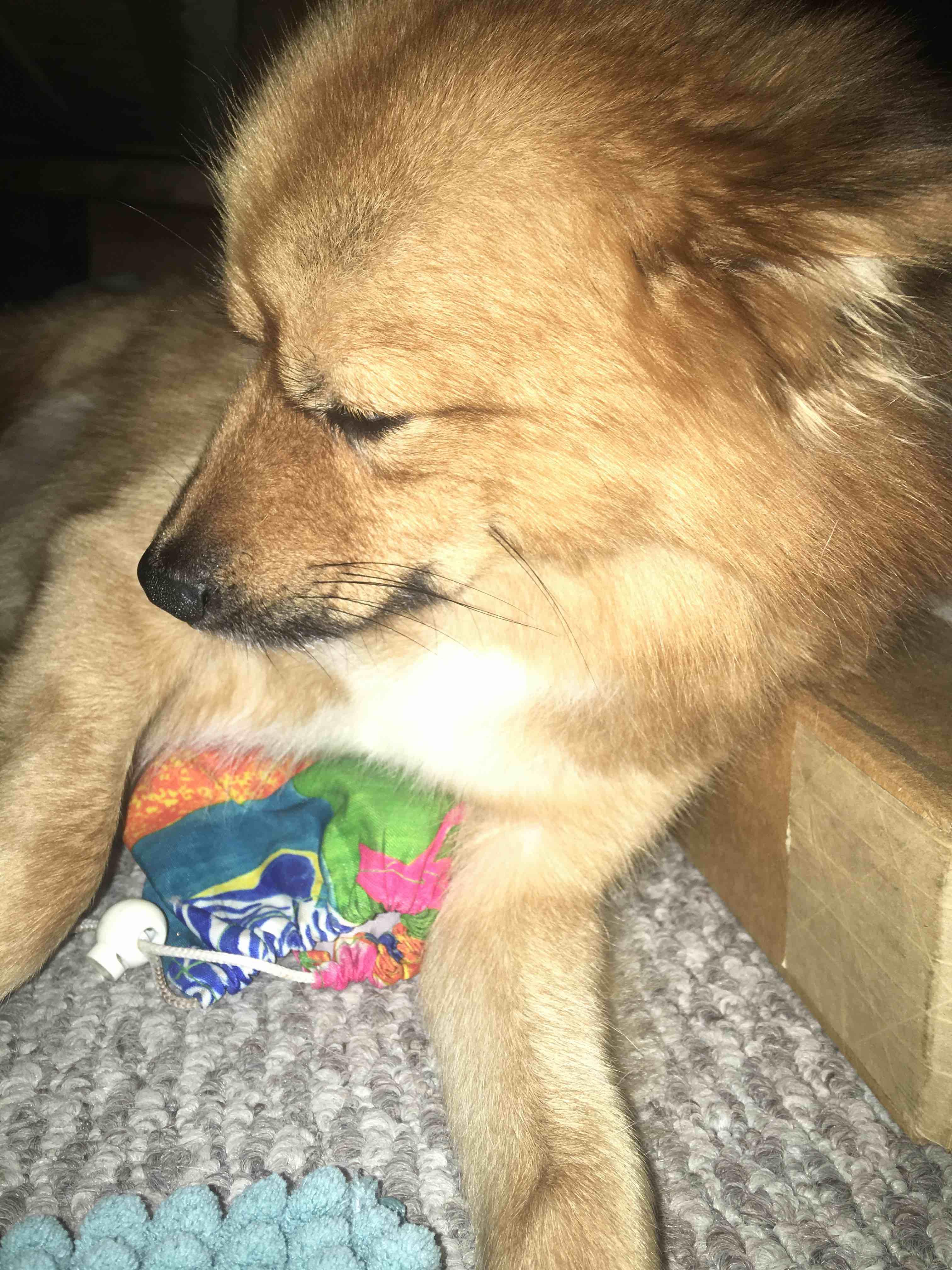 Question details sensitive content