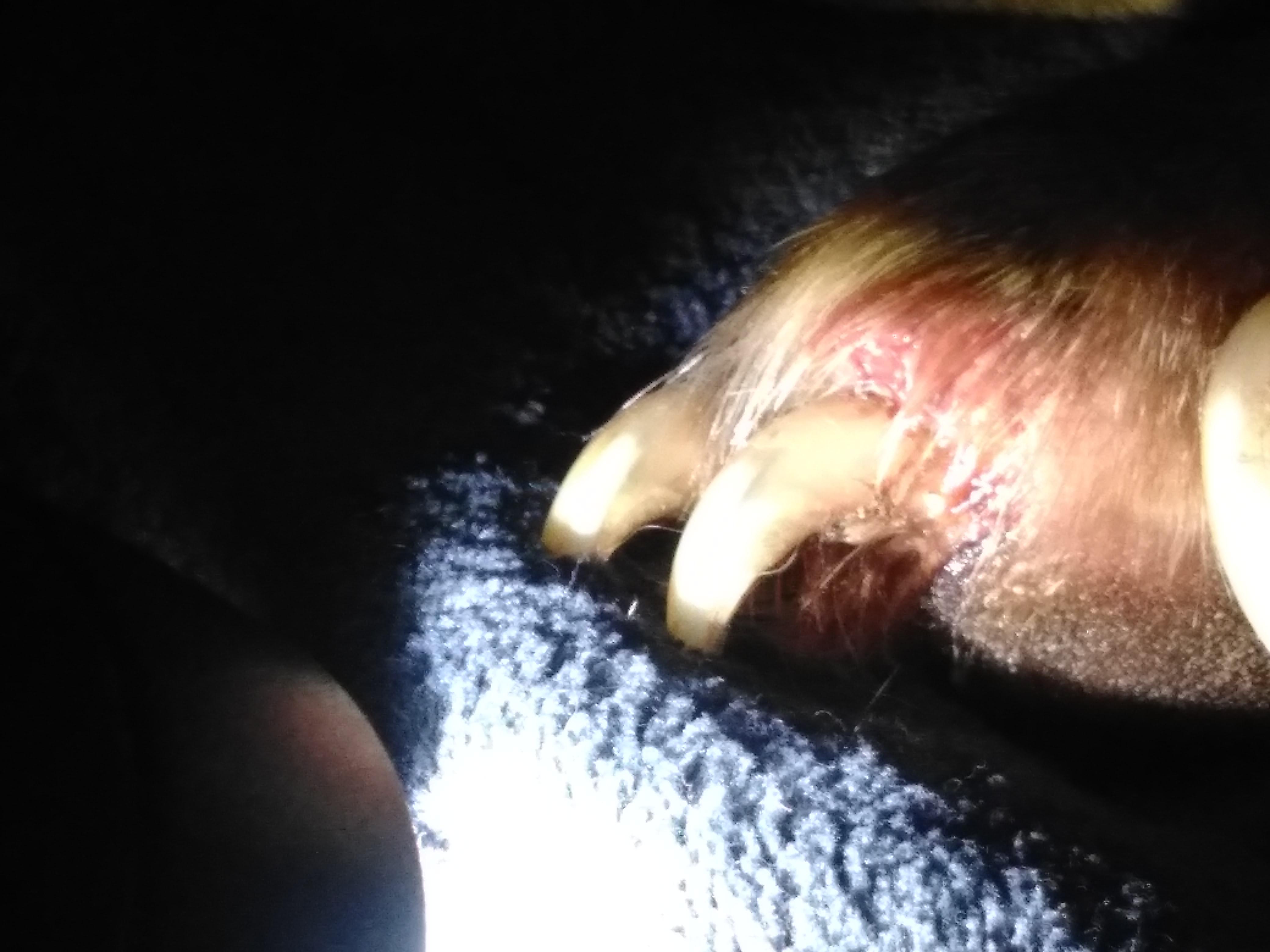 Question details sensitive content