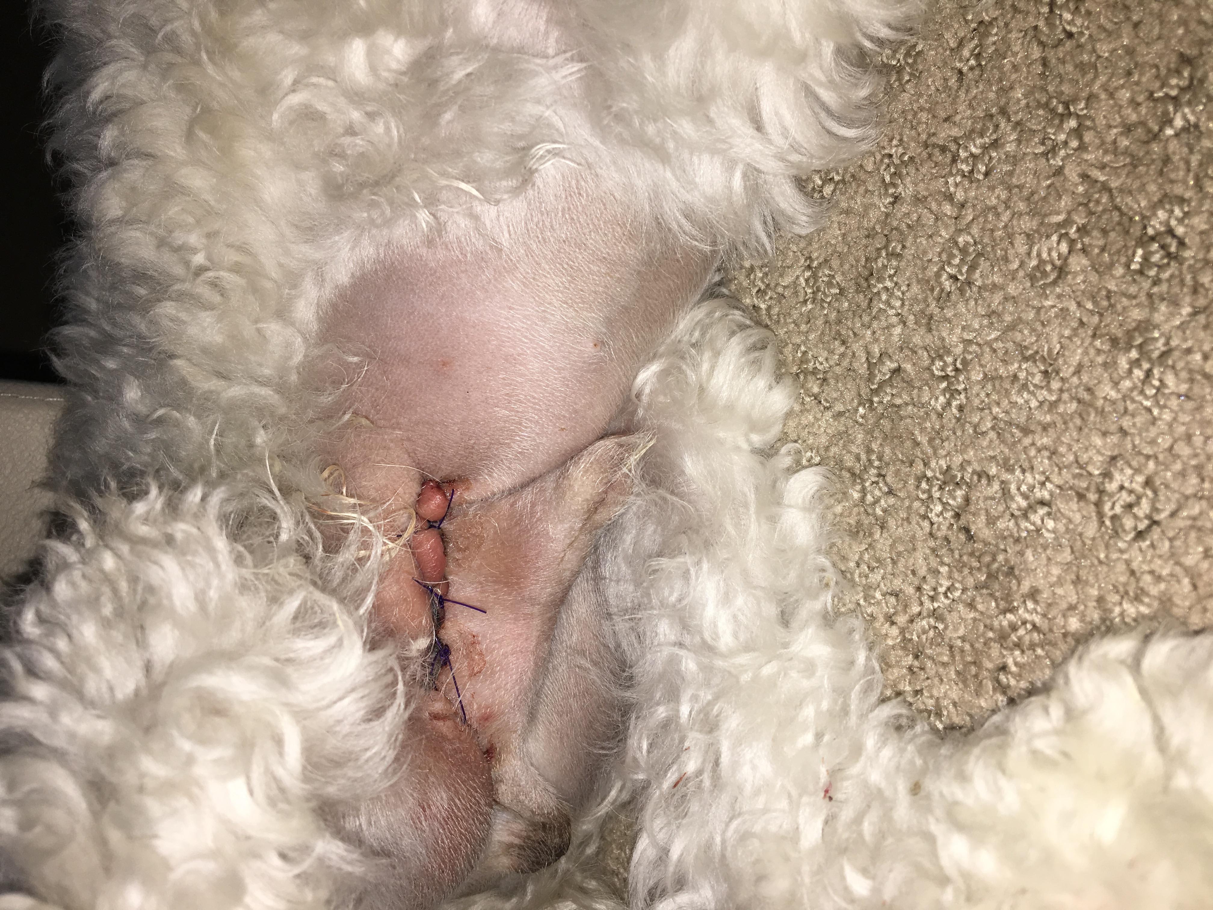 Question details sensitive content