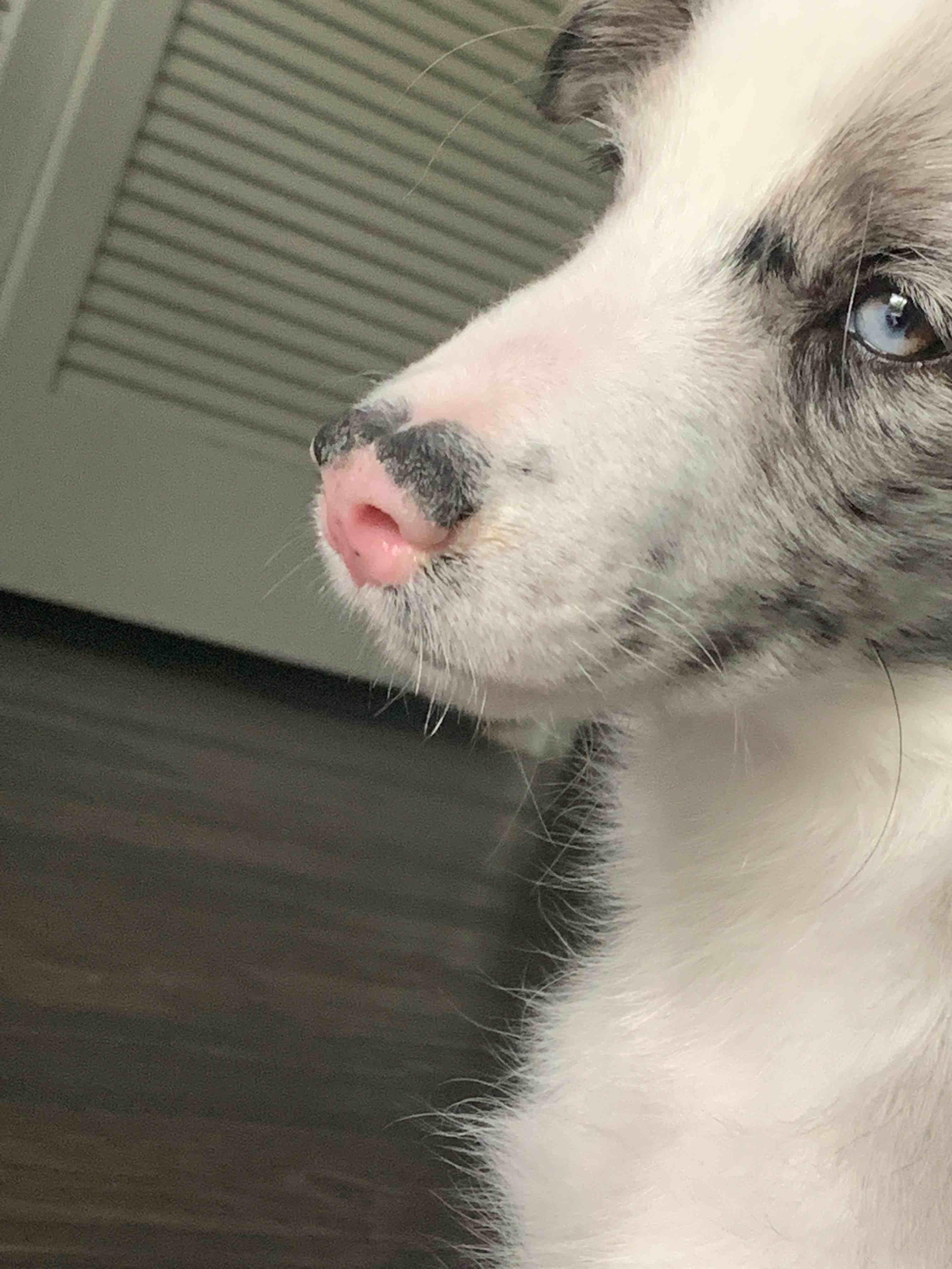 Question details sensitive content