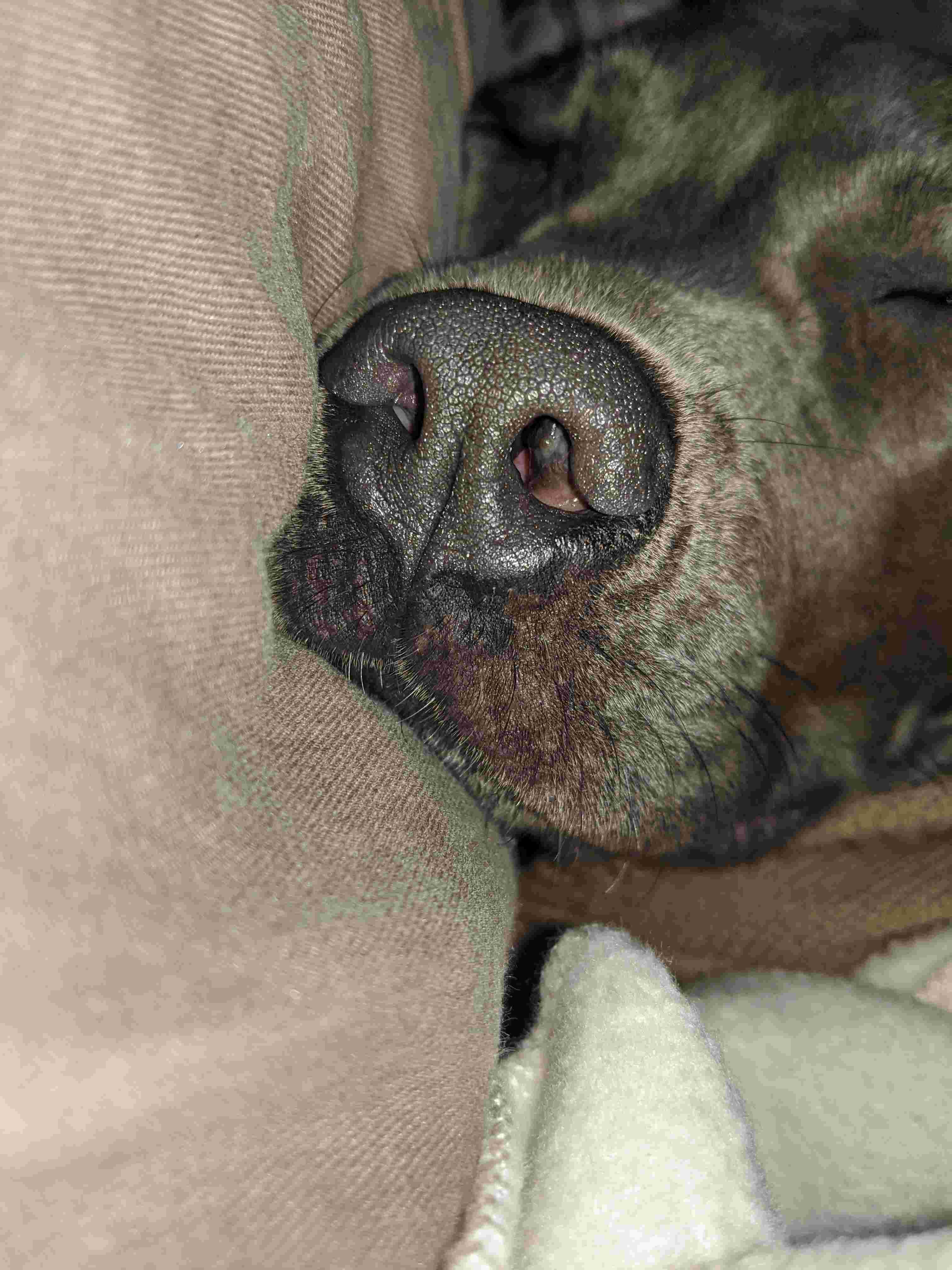 Question details sensitive content