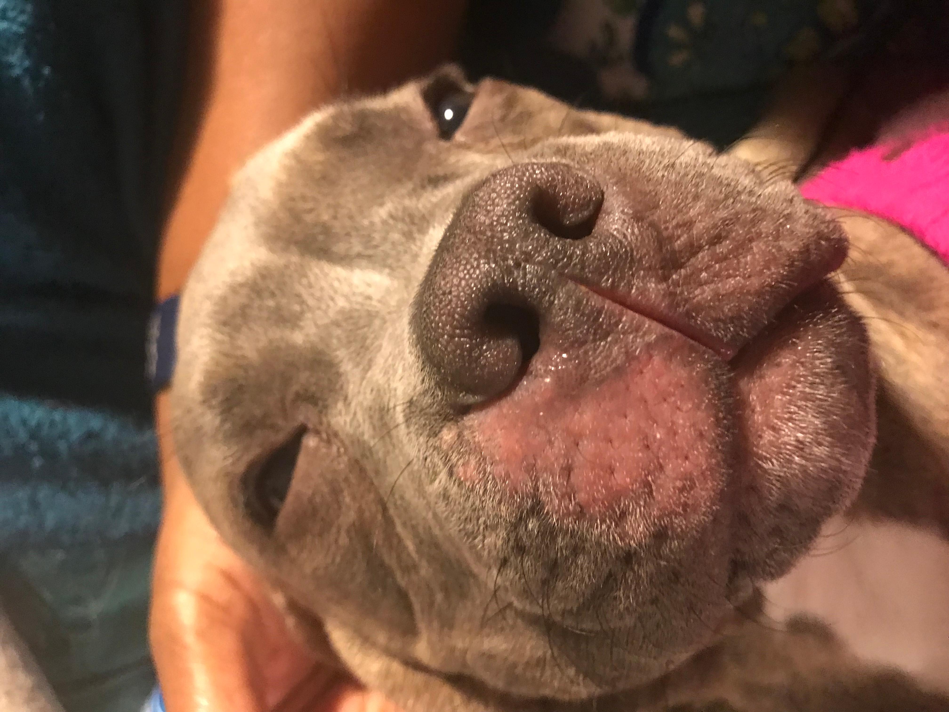 Question details sensitive content