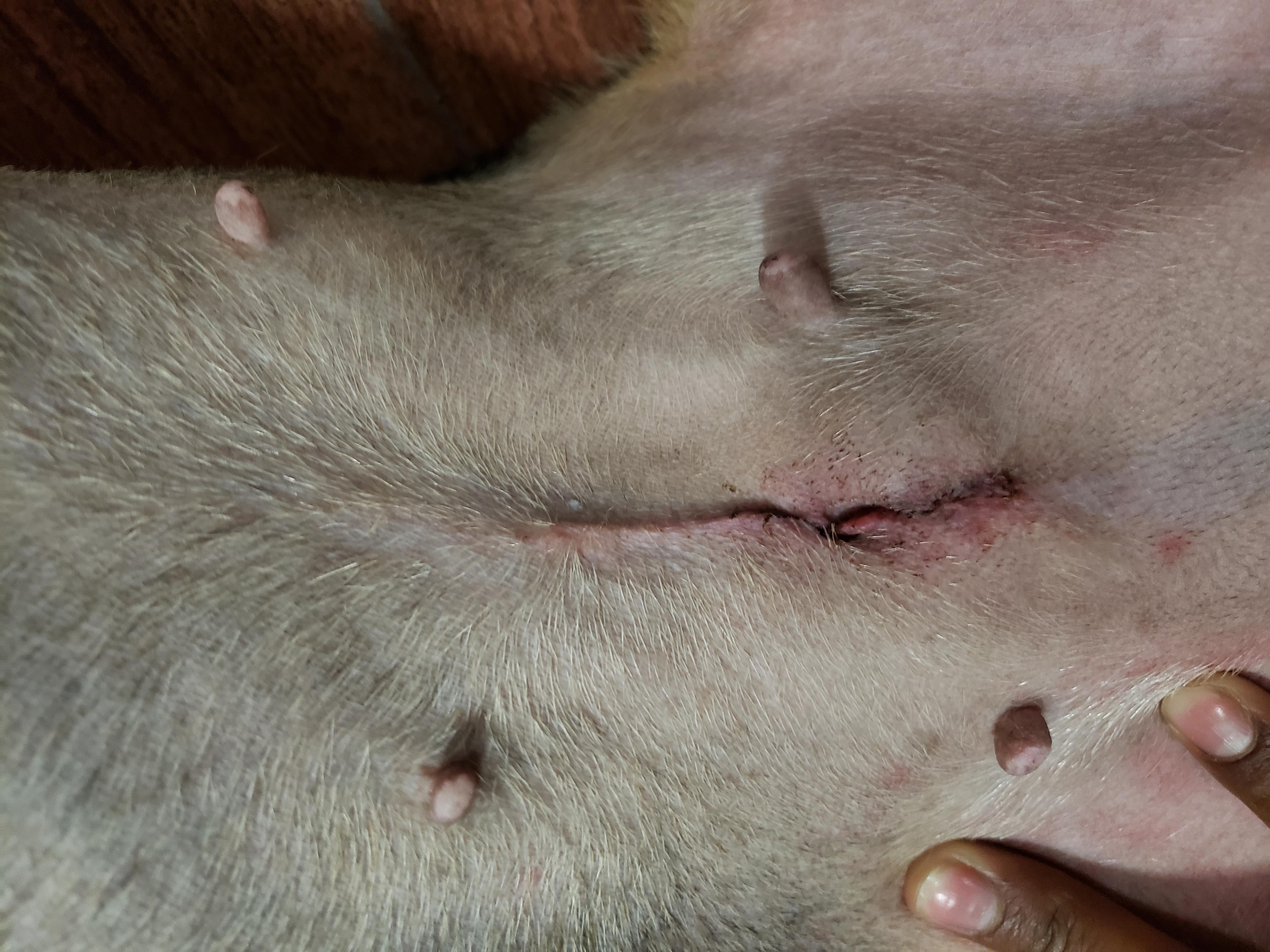 Question details sensitive content