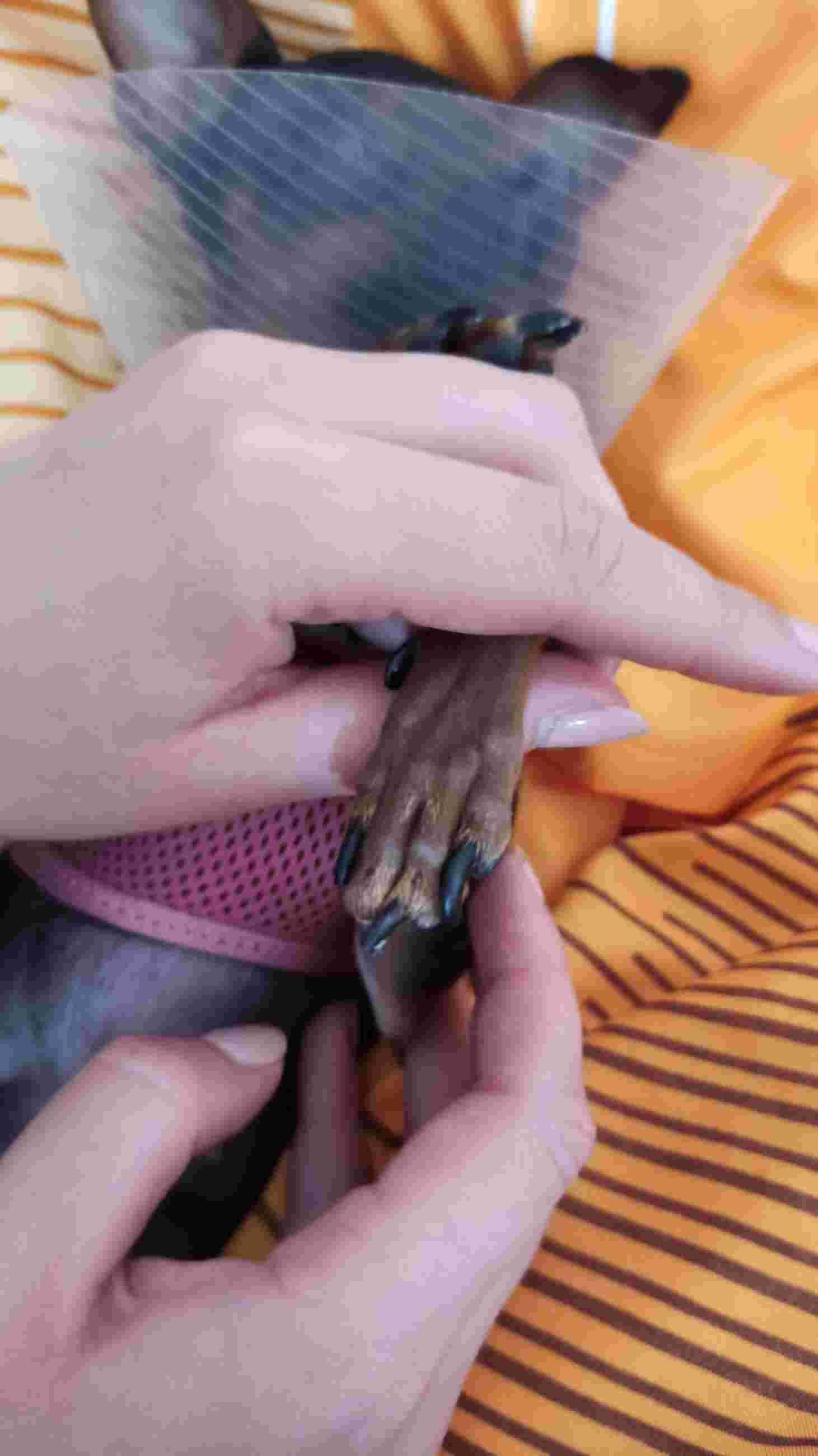 Question details sensitive content