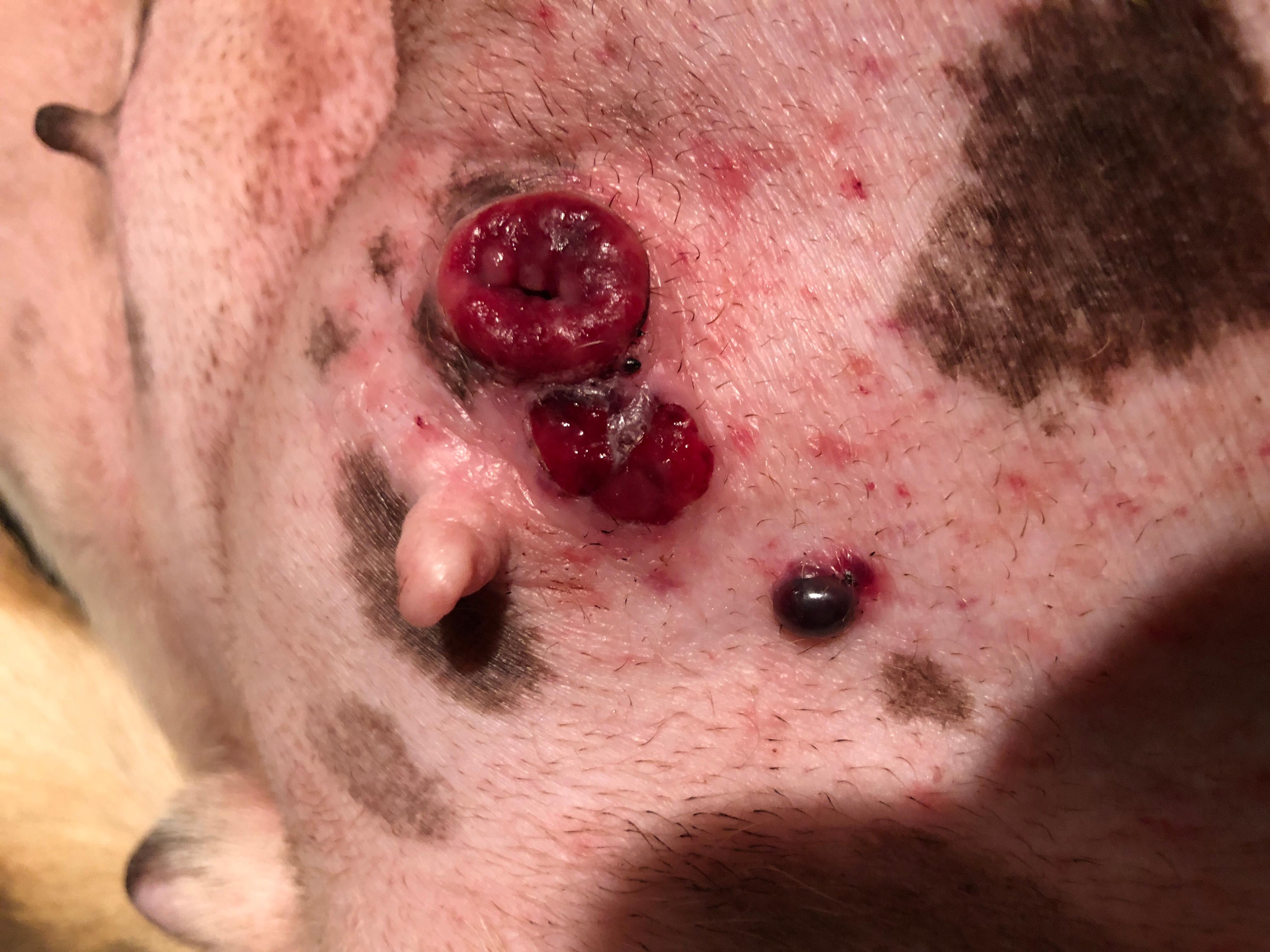 Question details sensitive content