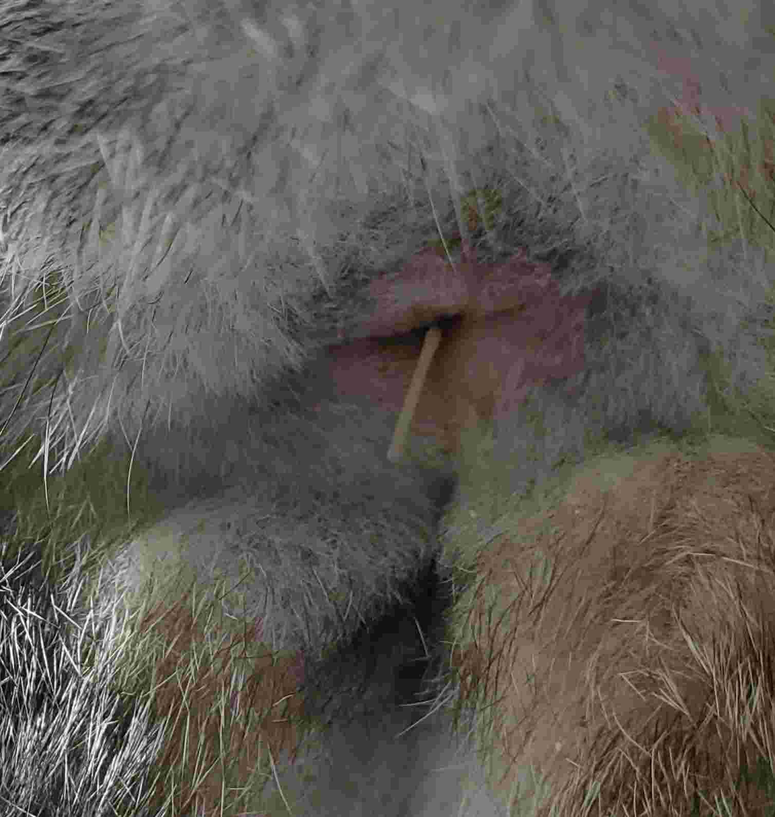 Question details sensitive content