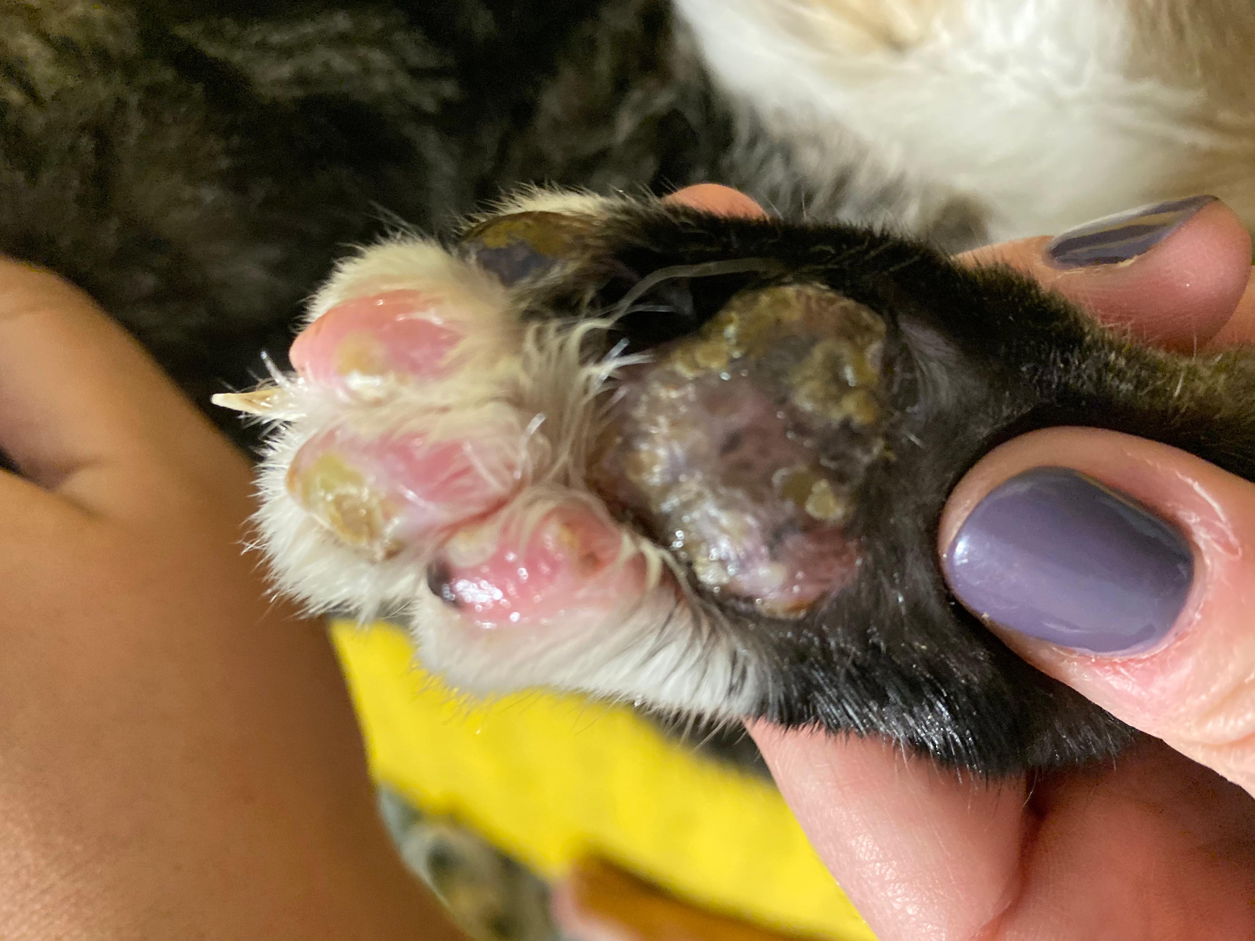 Question details sensitive content