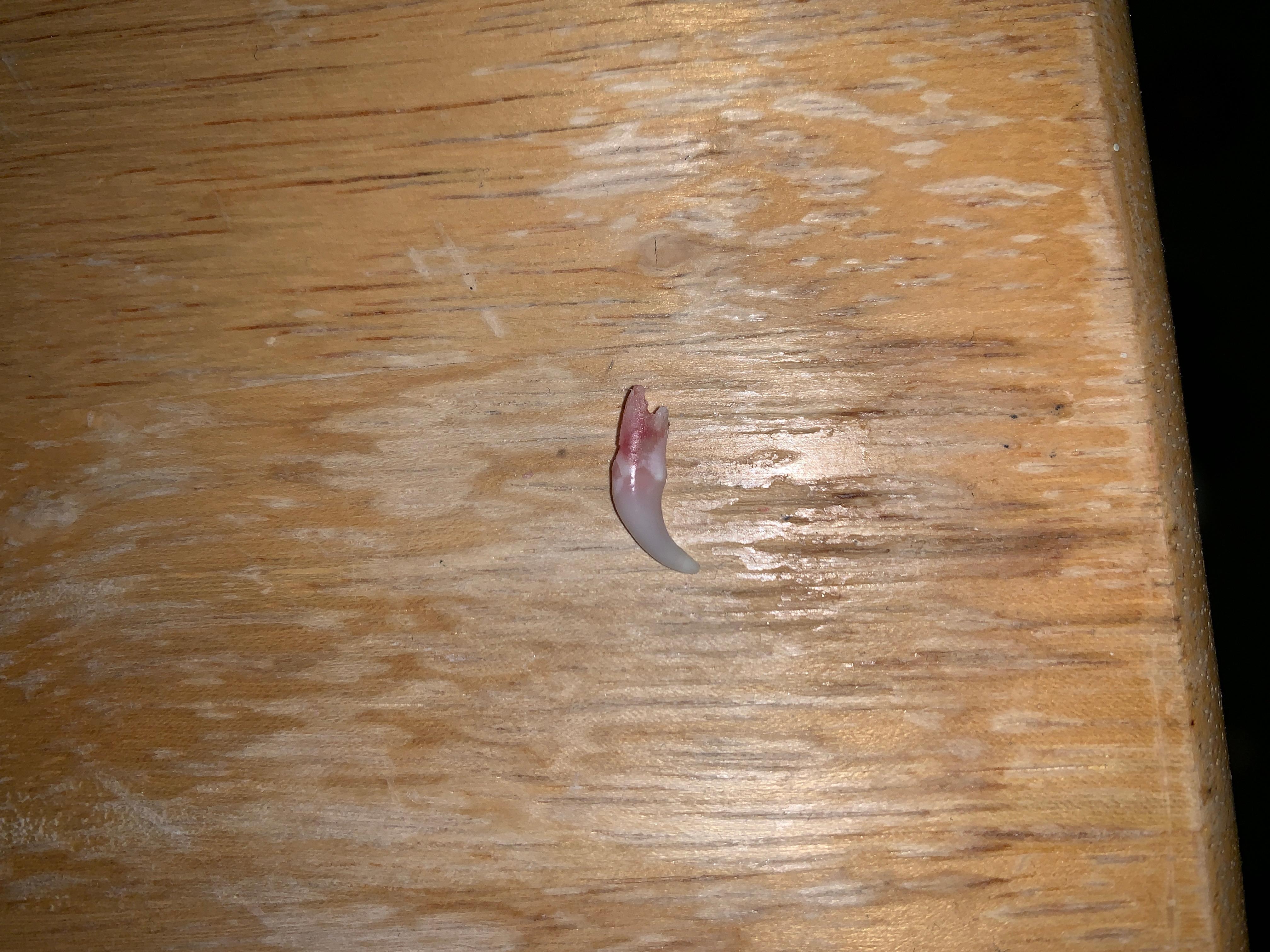 Question details sensitive content