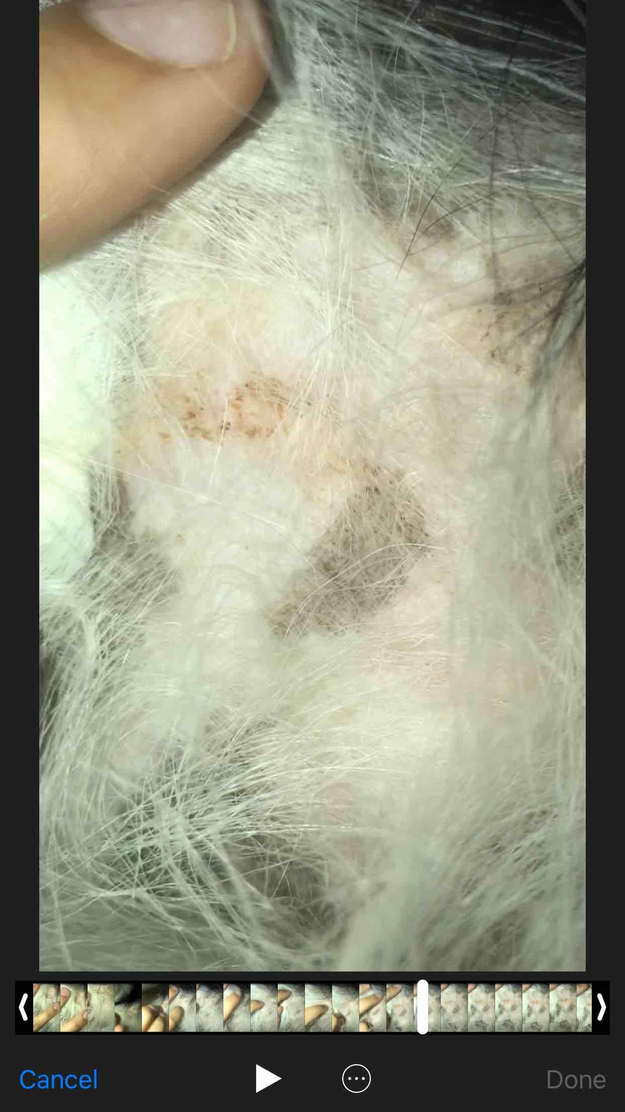 Question details sensitive content