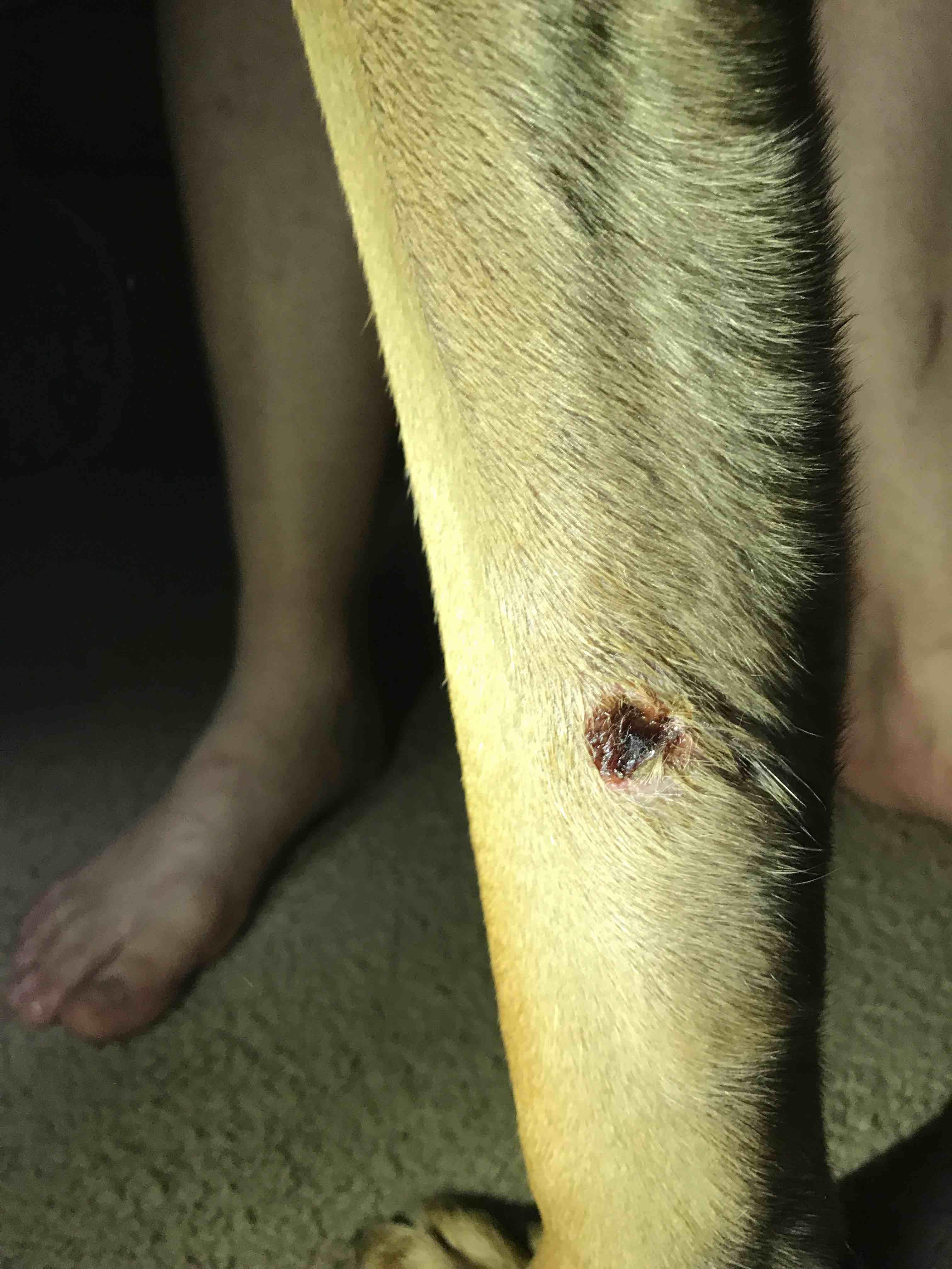 Question details sensitive content