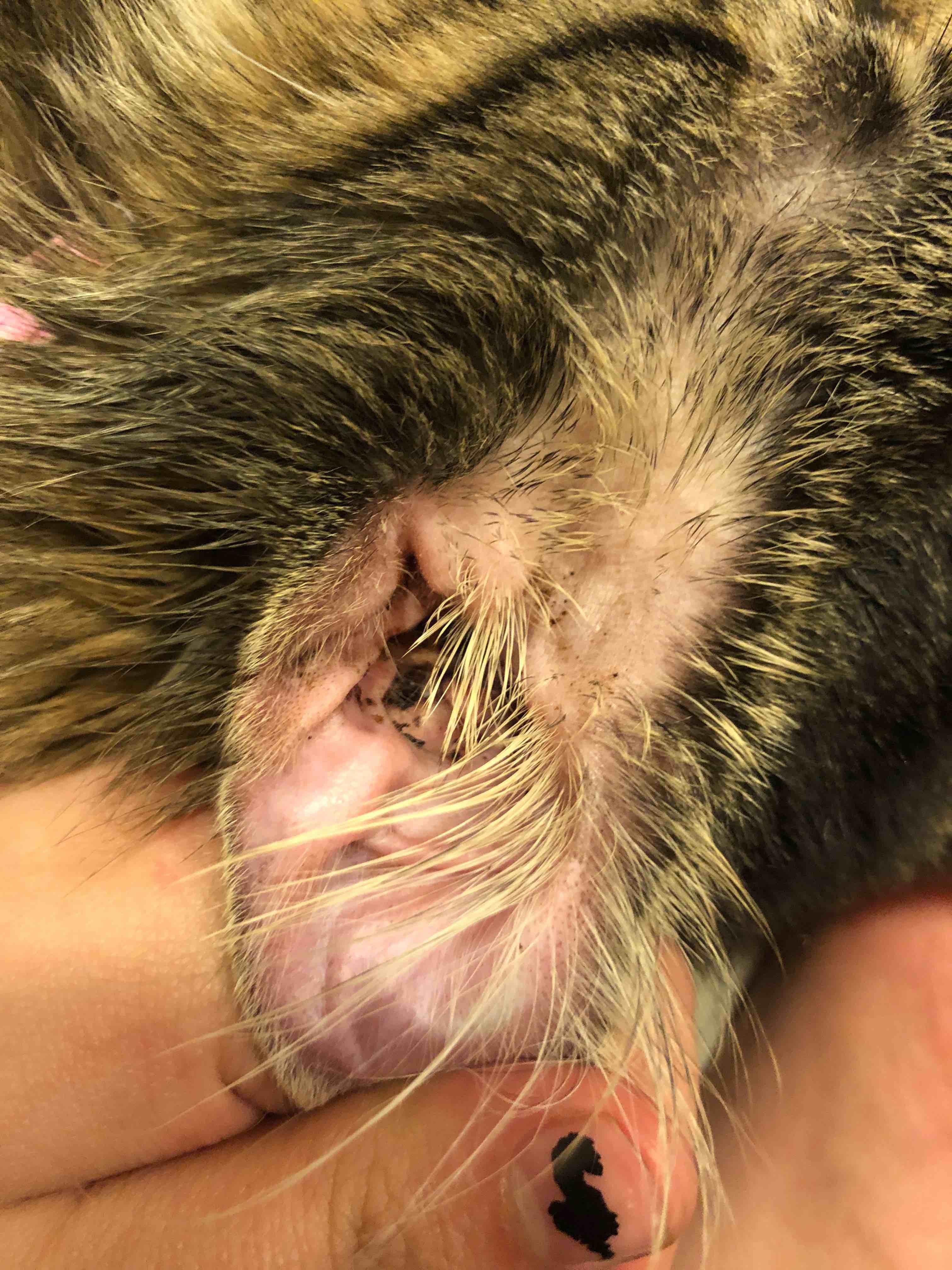 Question details sensitive content