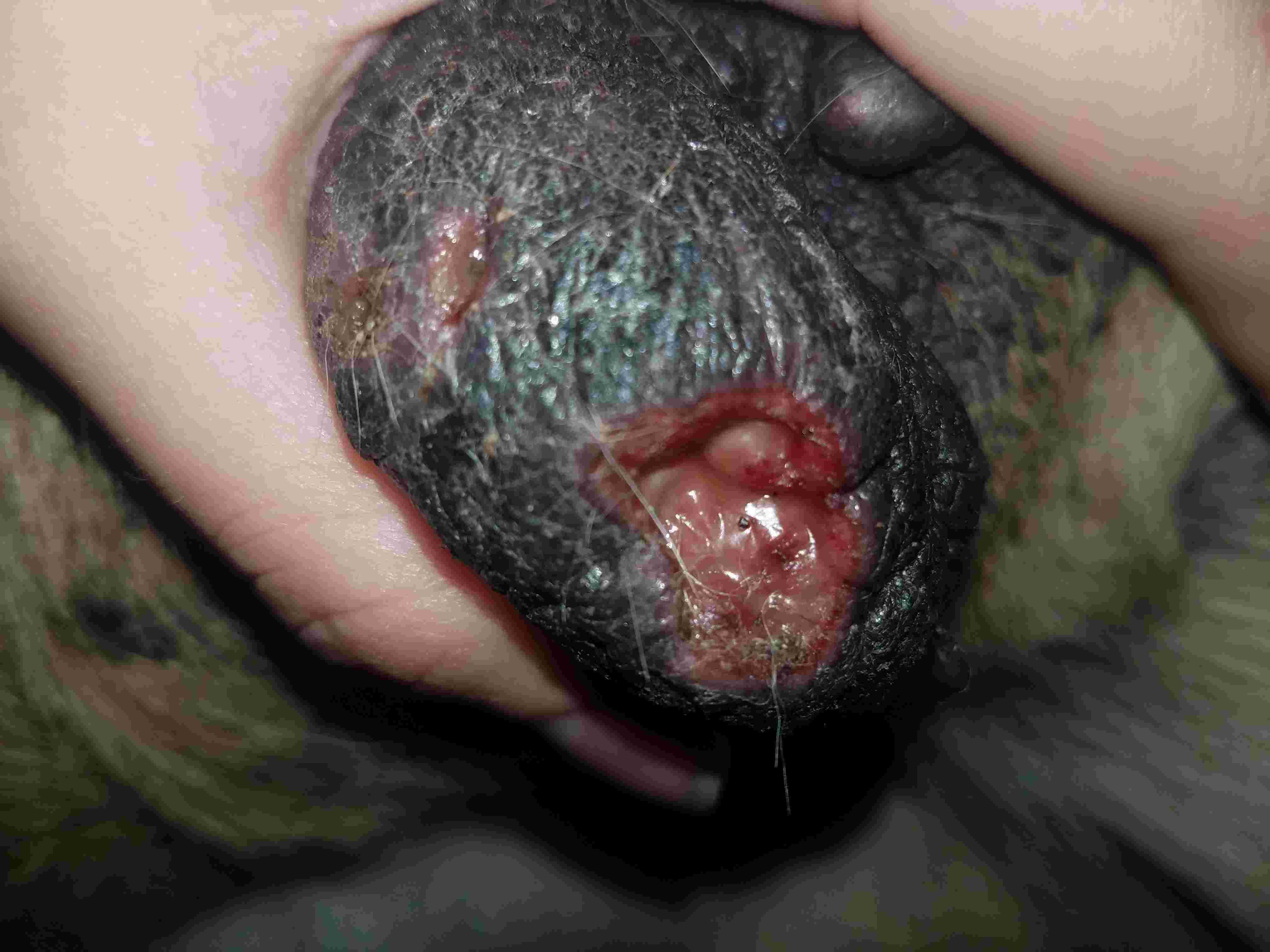 Question details sensitive content