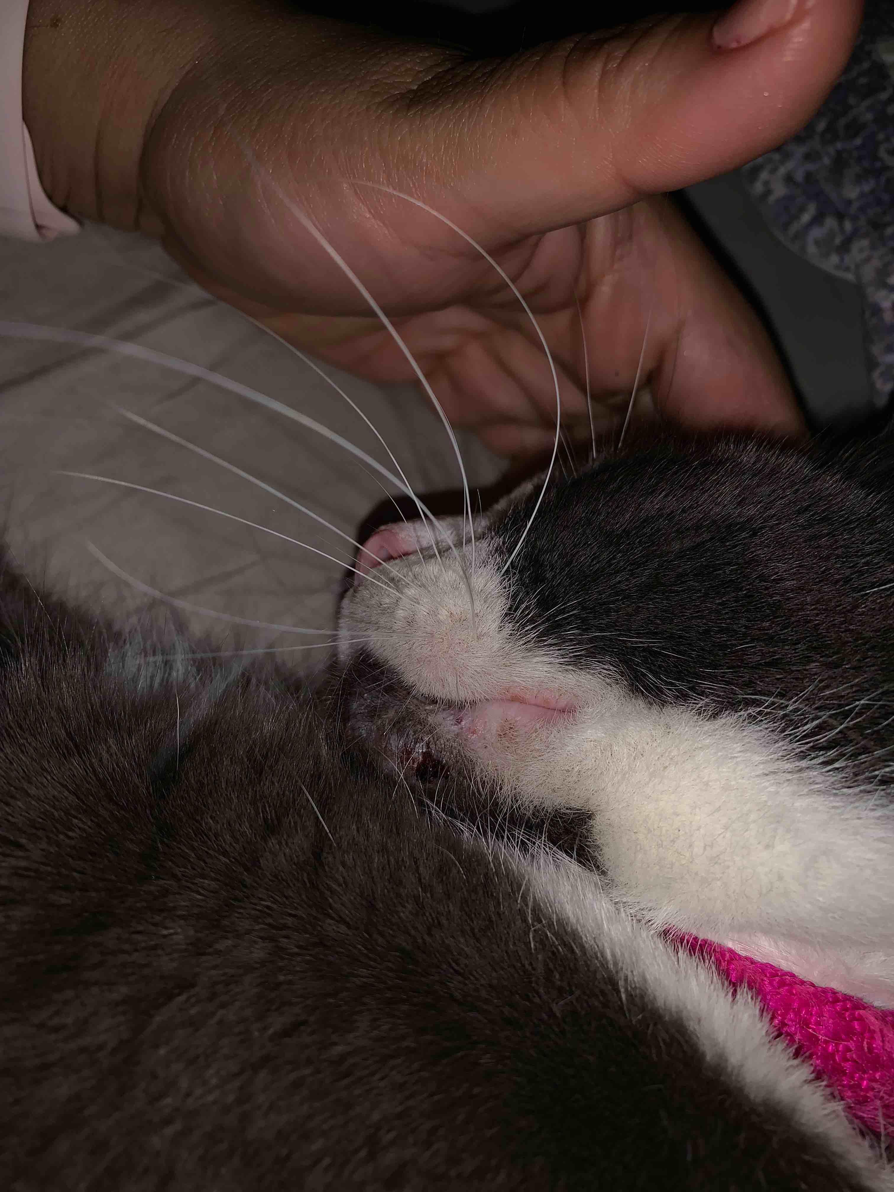 Question details sensitive content