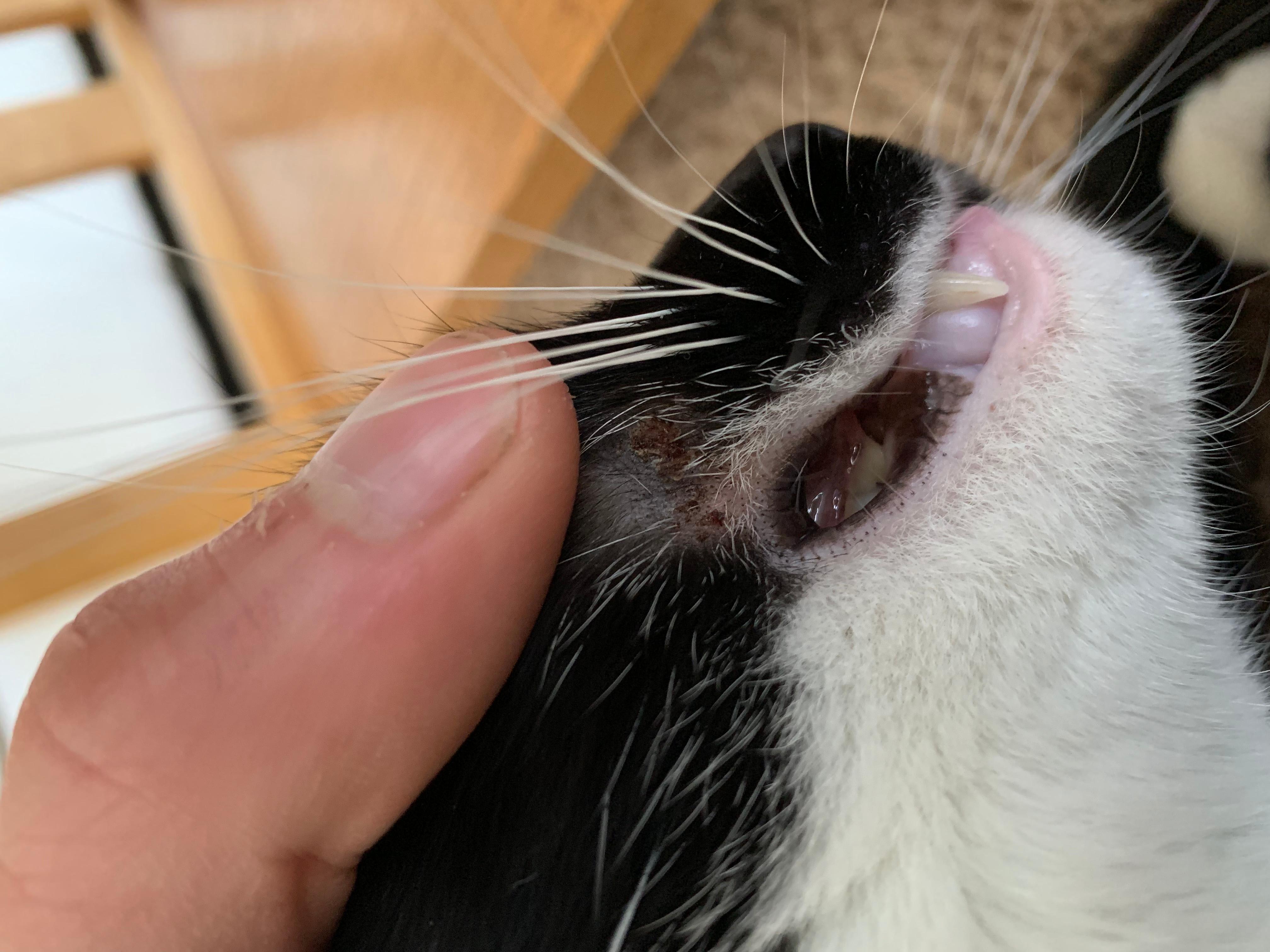 Question details sensitive content