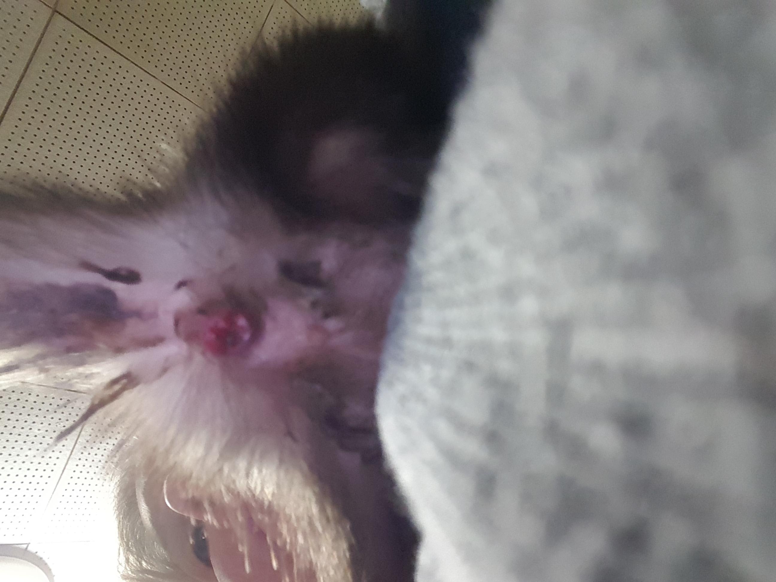 Question details sensitive content