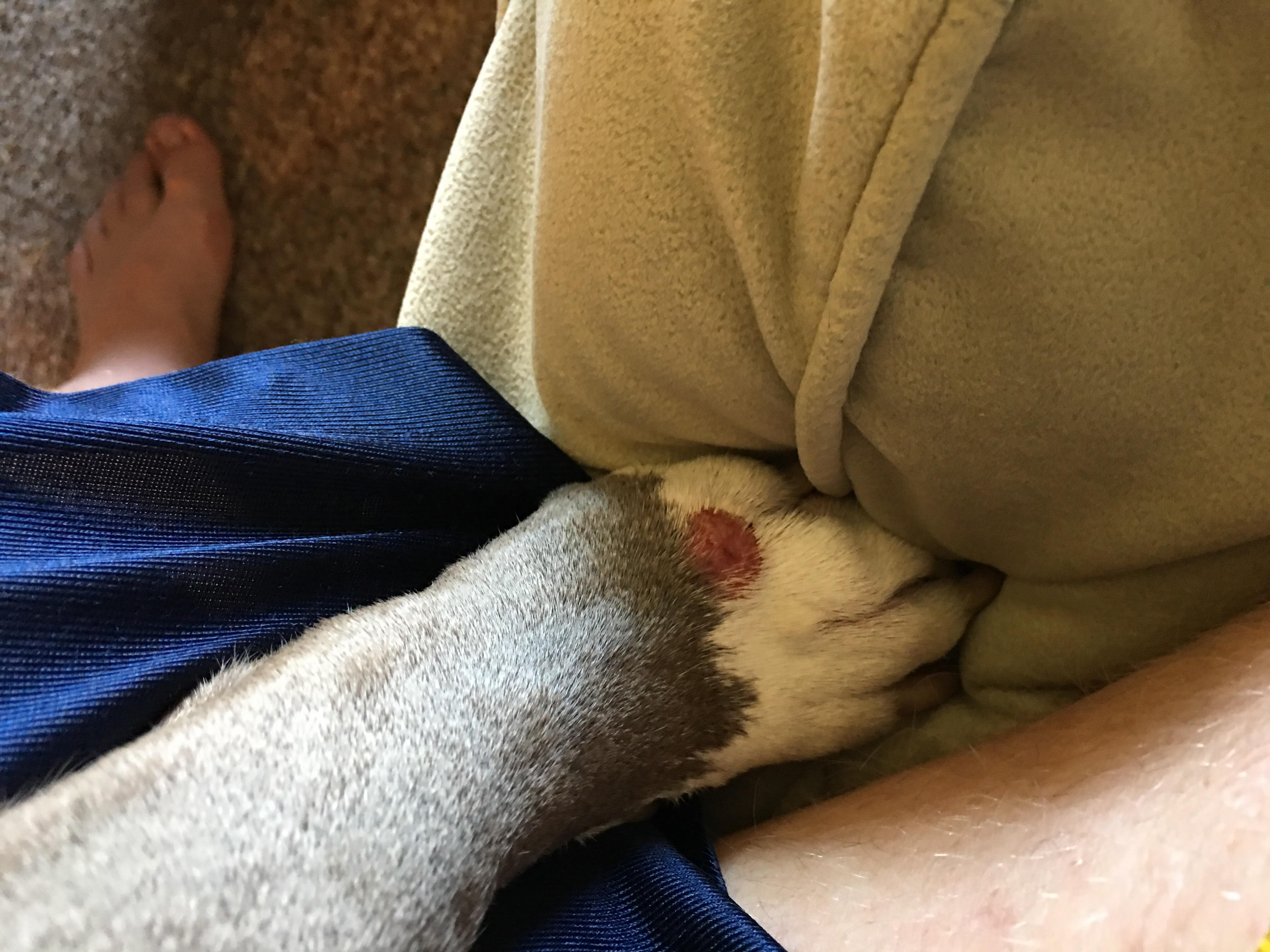 Question details sensitive content